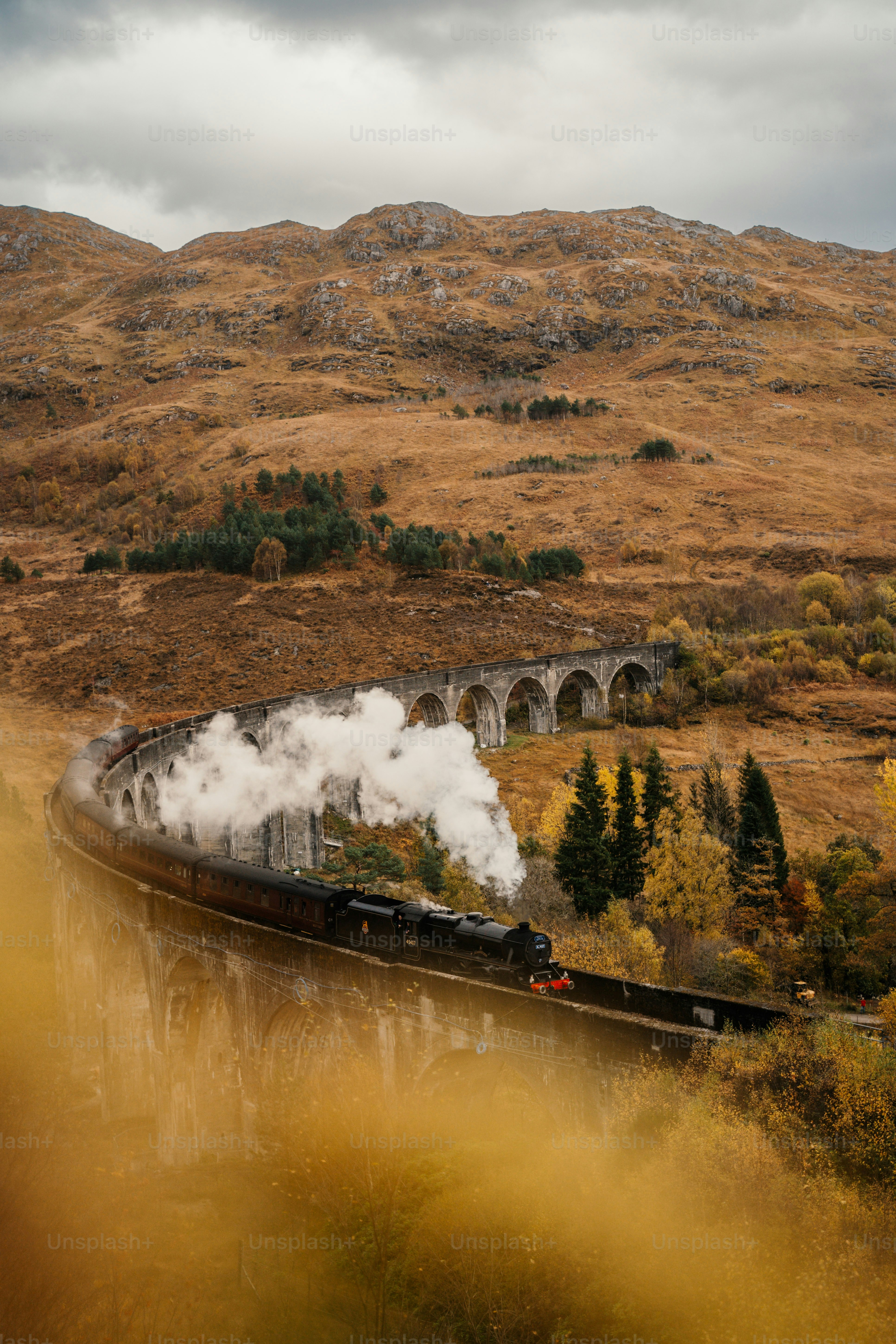 Un tren que viaja a través de un exuberante campo verde