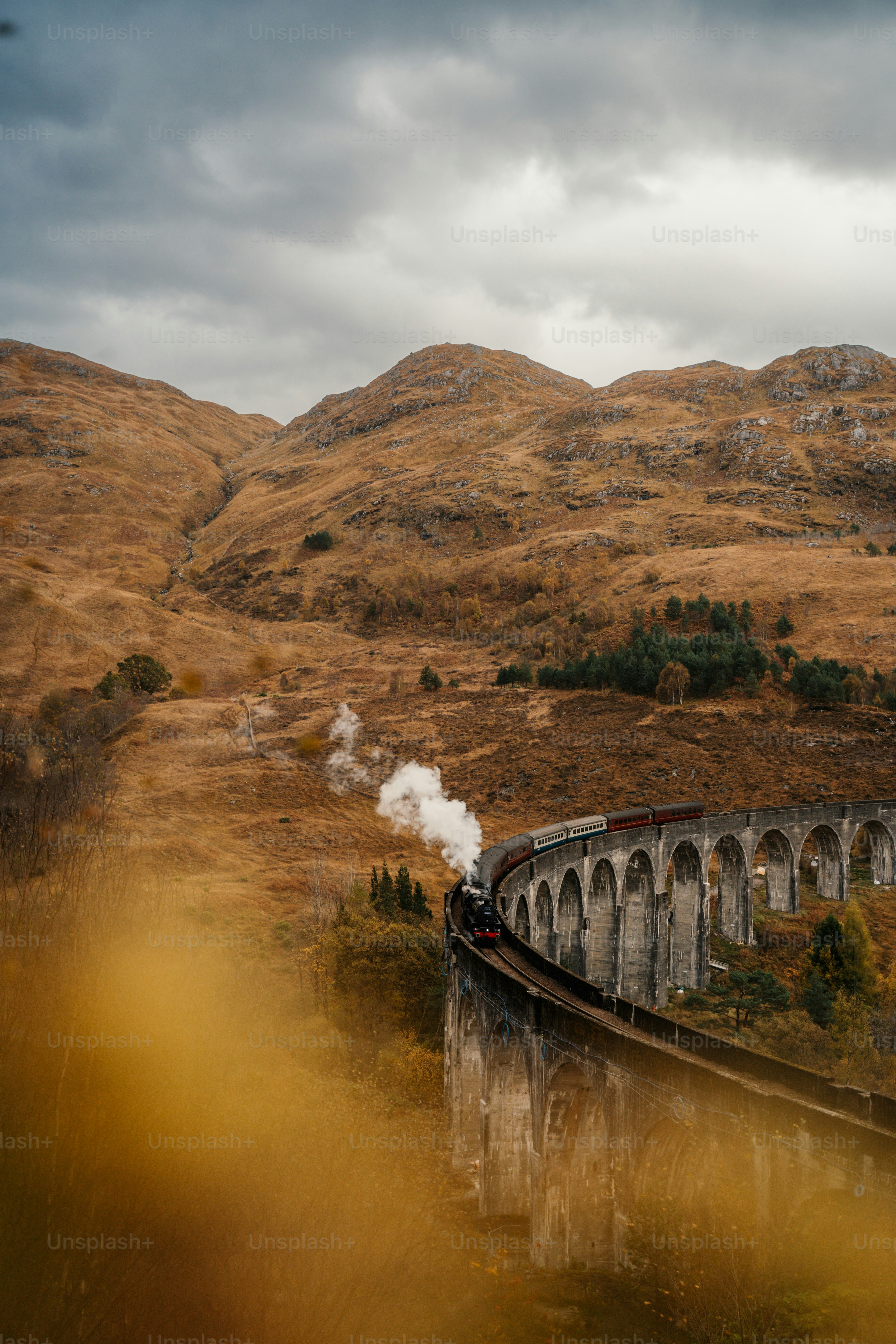 Un tren que viaja sobre un puente en las montañas