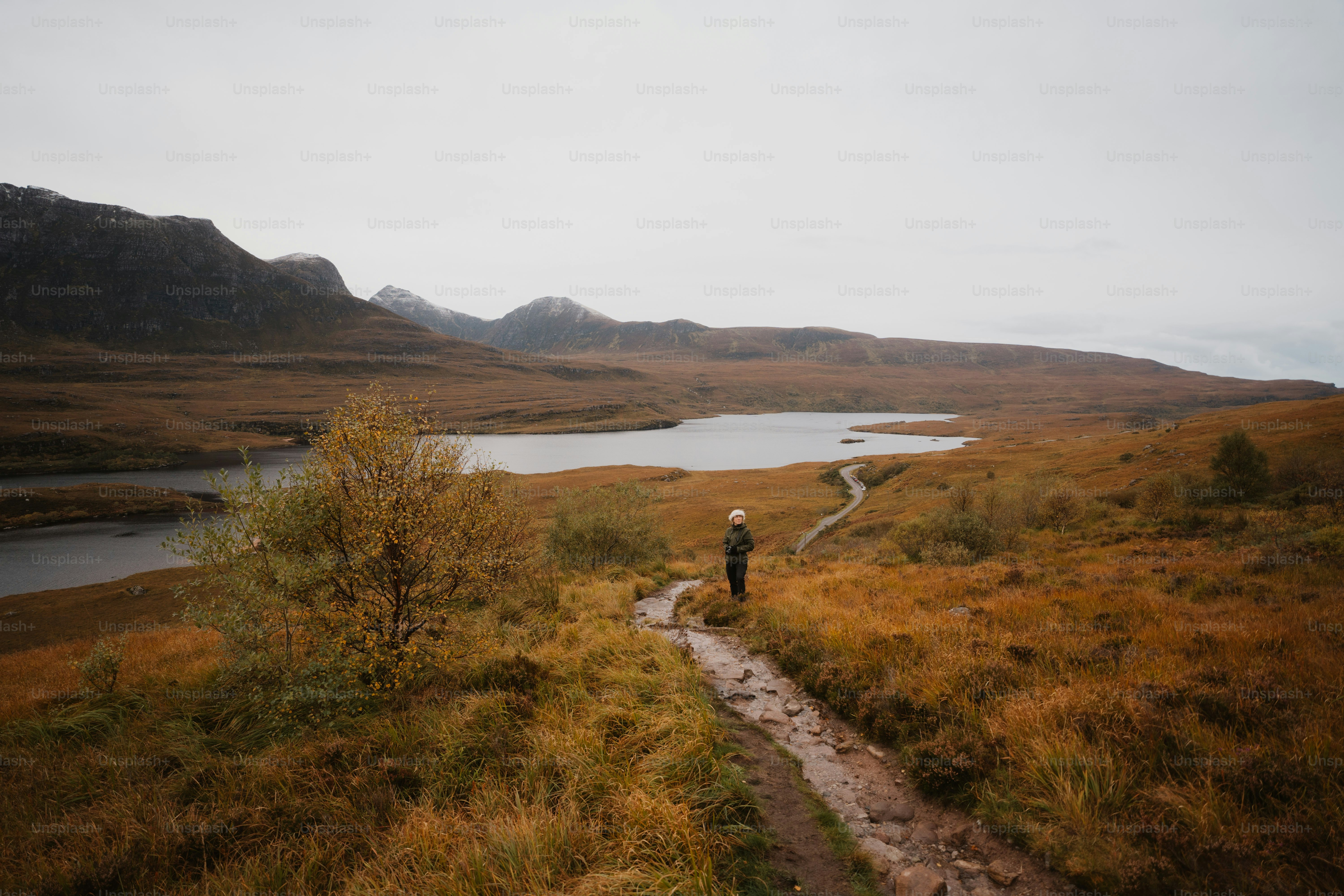 A person walking on a path in a field