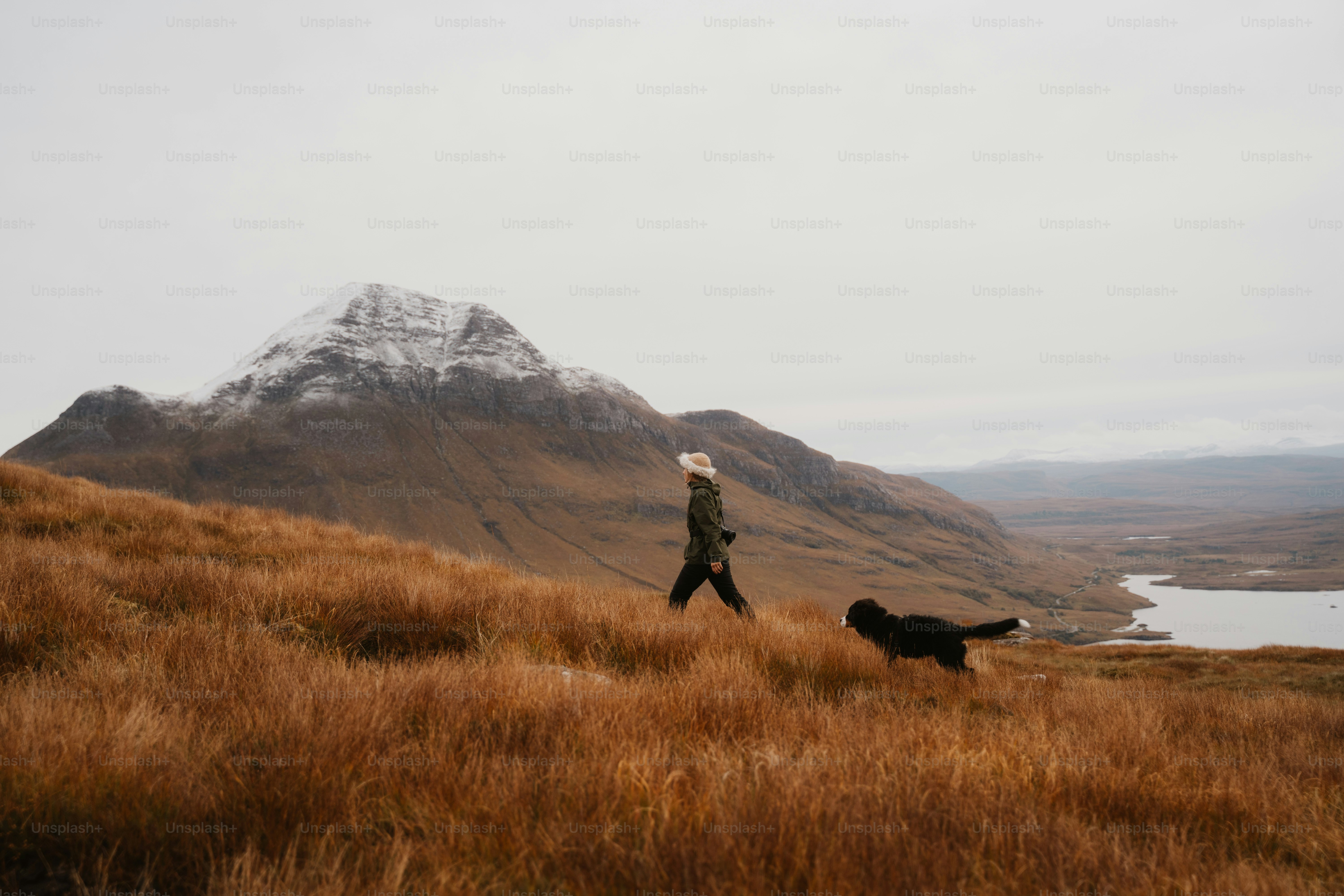 A person walking with a dog on a hill