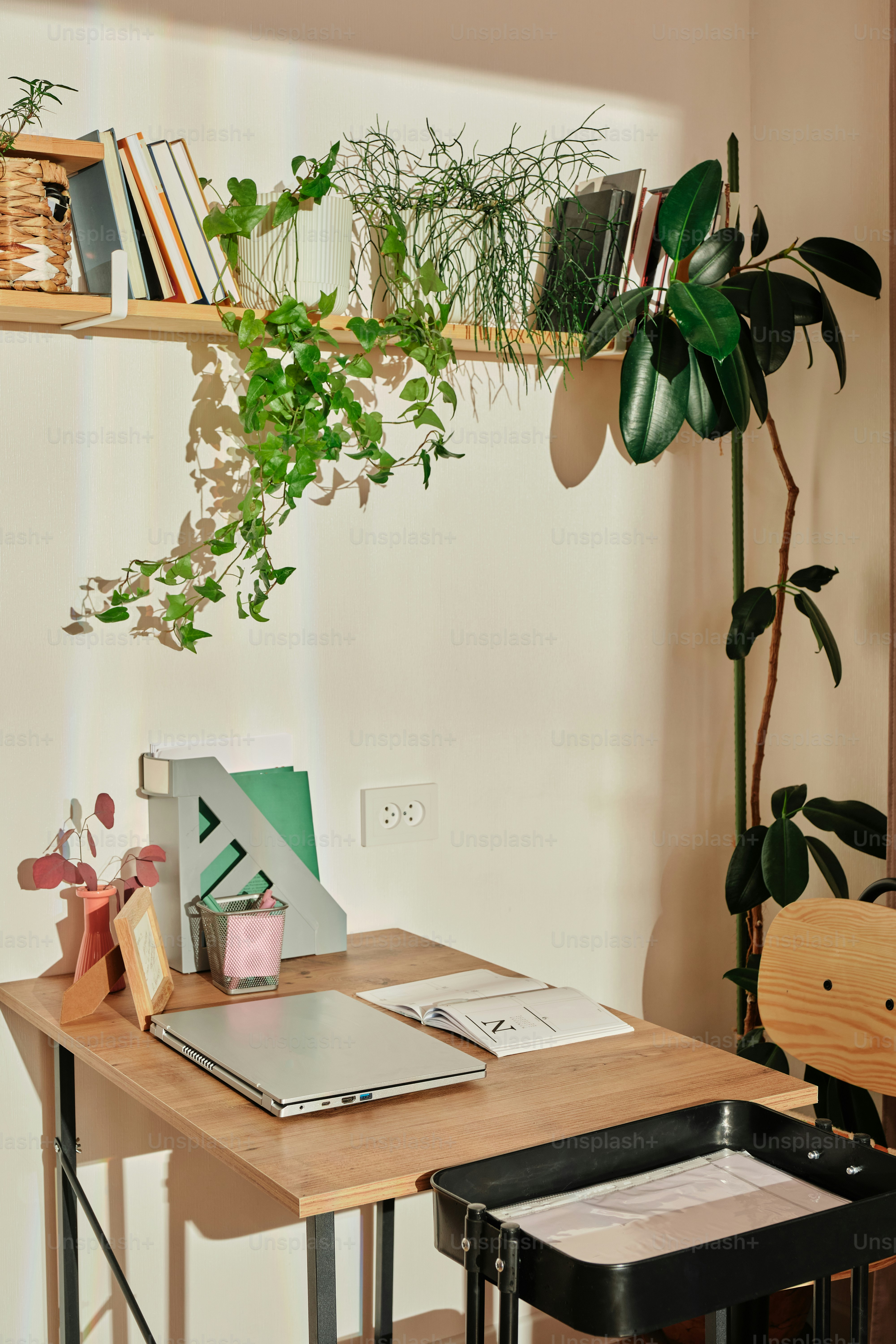 A desk with a laptop and a plant on it