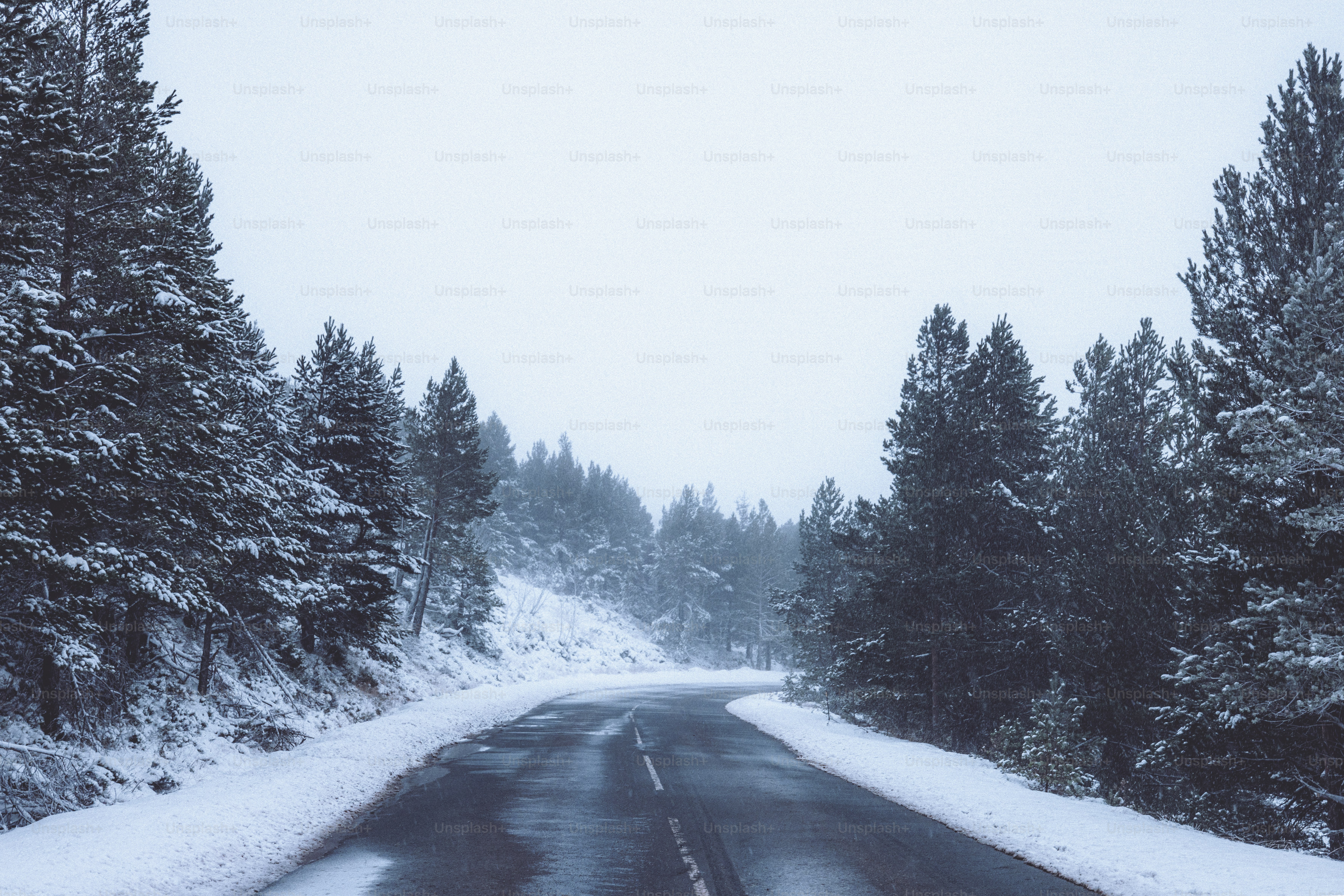 A snow covered road with trees on both sides