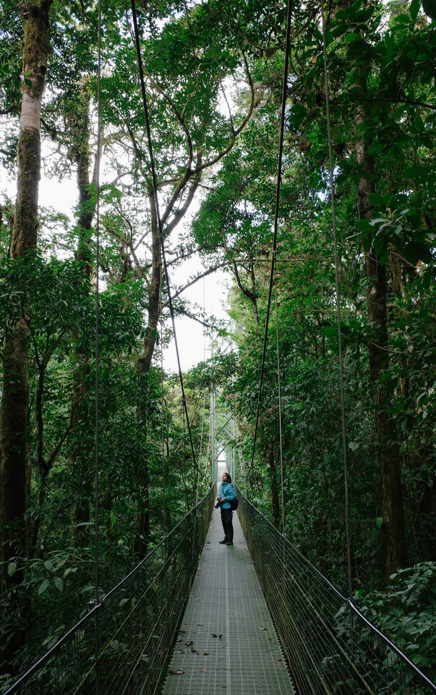 Pont suspendu forêt de nuages Monteverde Costa Rica