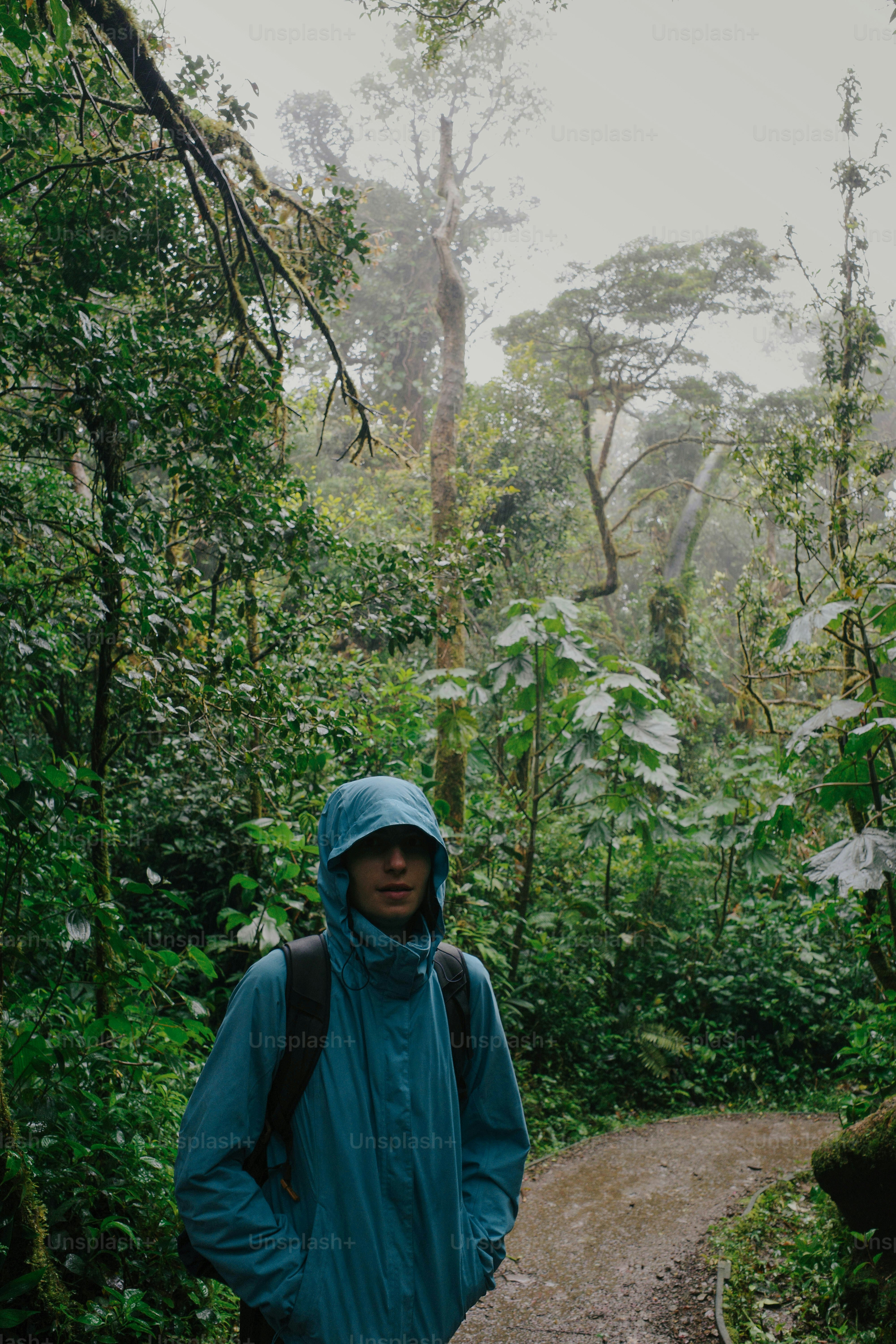 A man in a blue jacket is walking in the woods