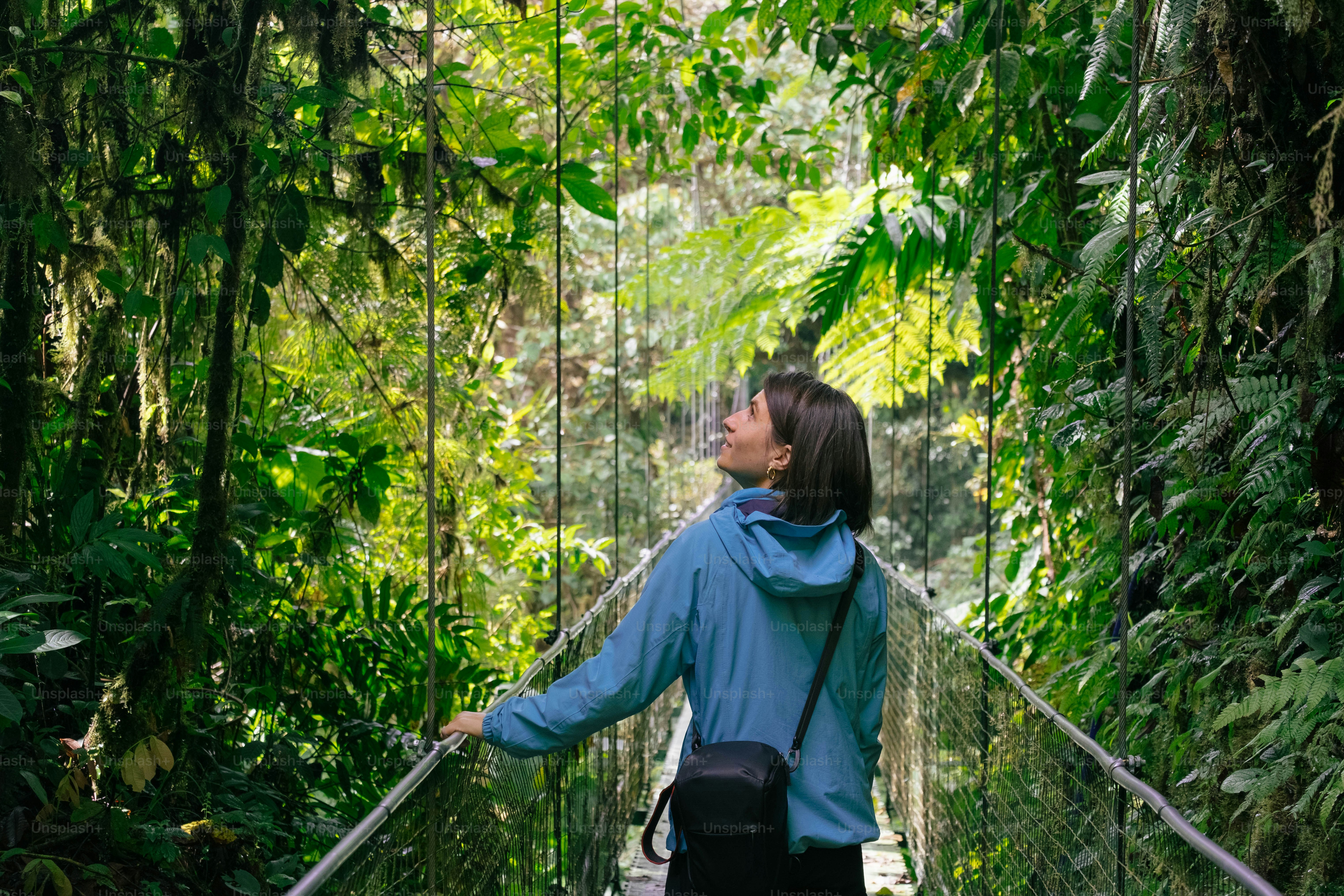 Costa Rica — paysage 3