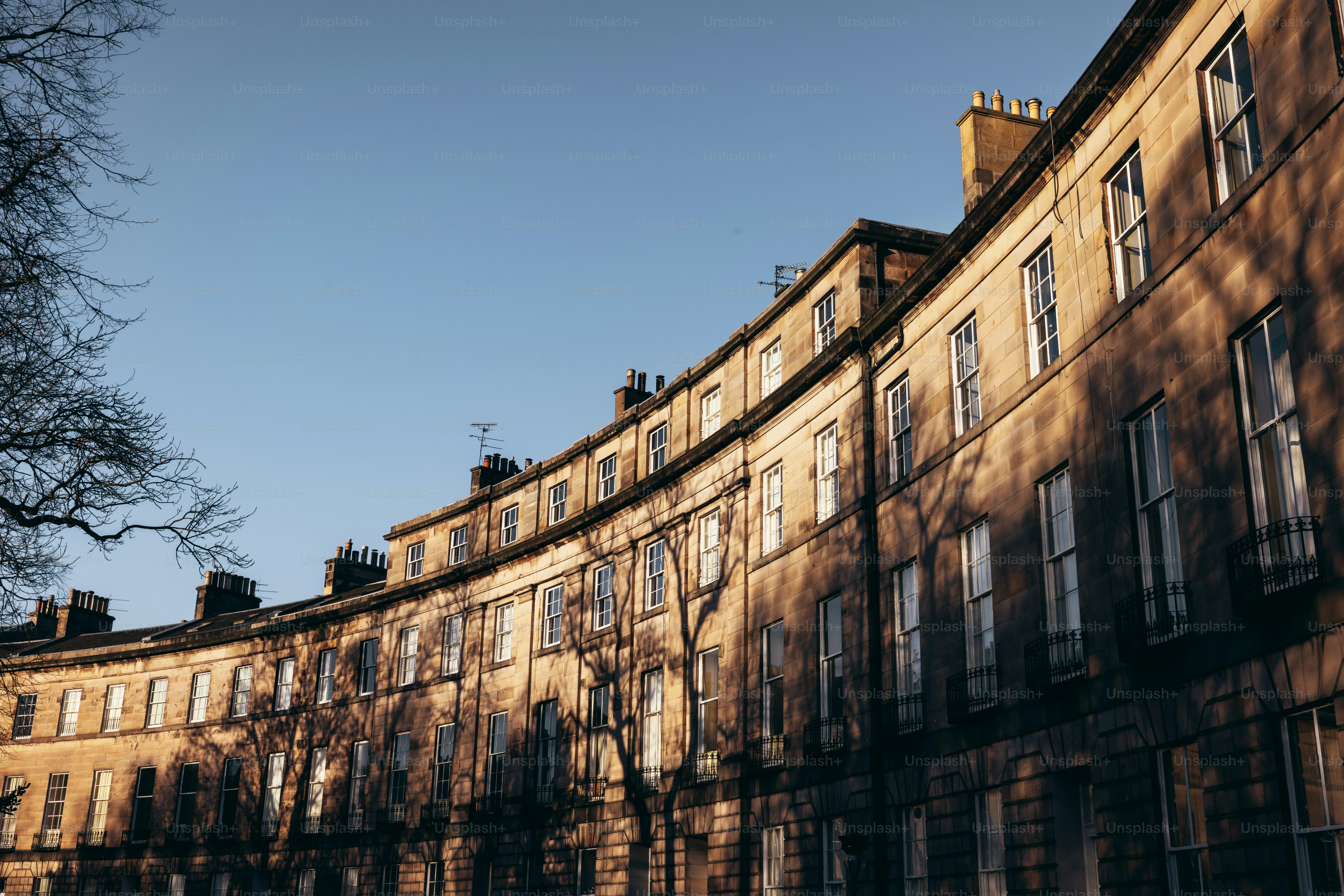 A building with many windows and a tree in front of it