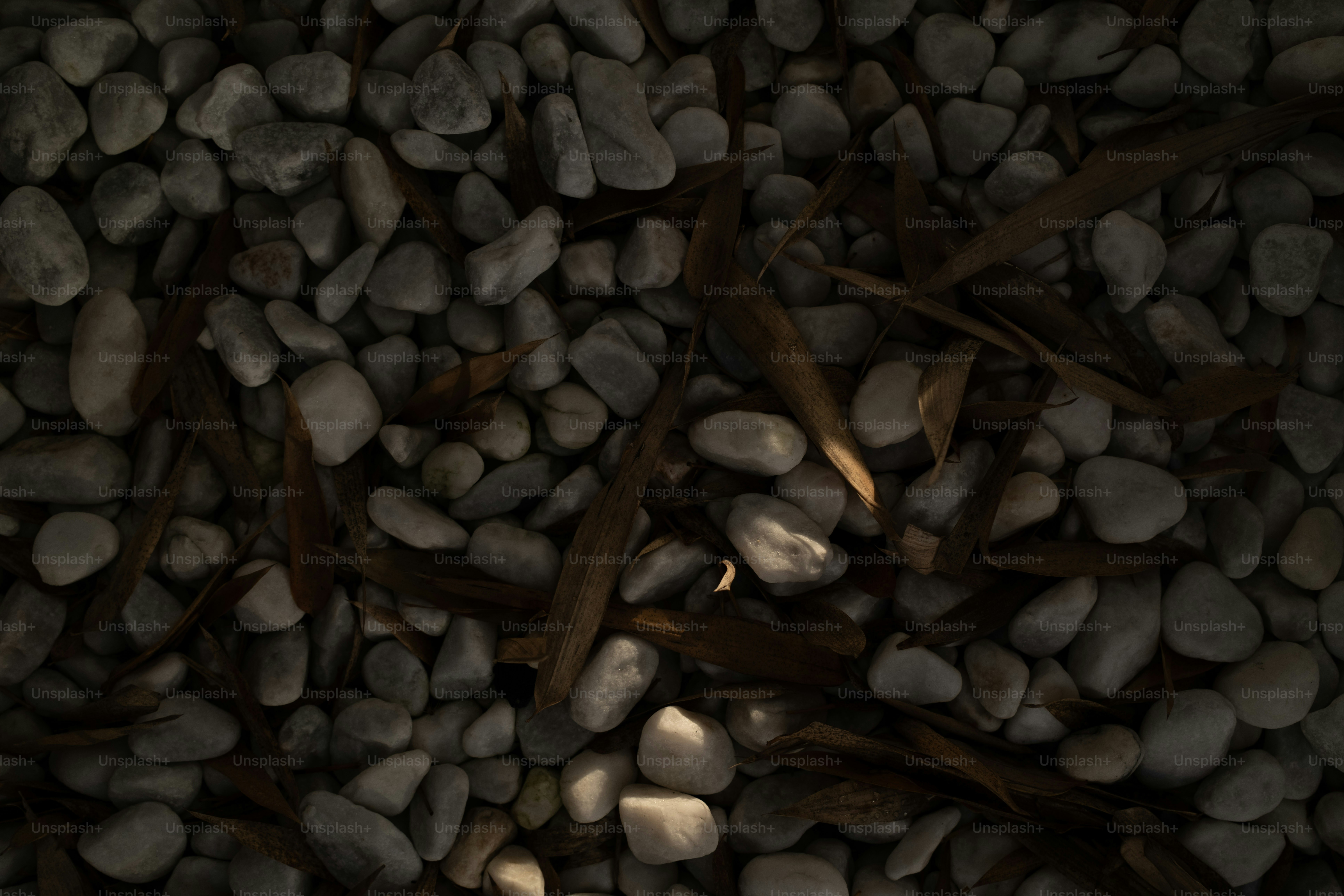 A close up of a bunch of rocks