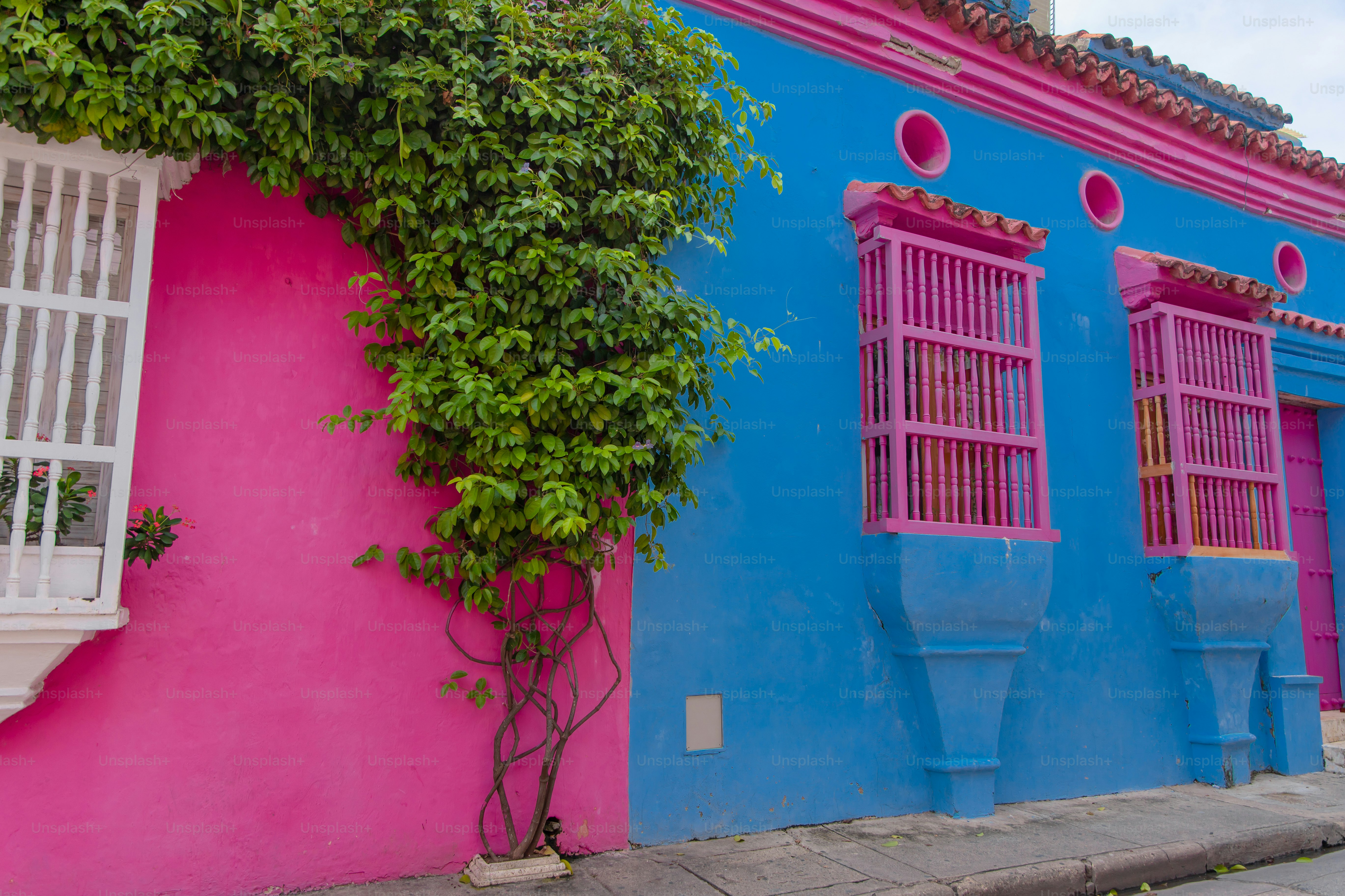 A pink and blue building with a green plant growing out of it