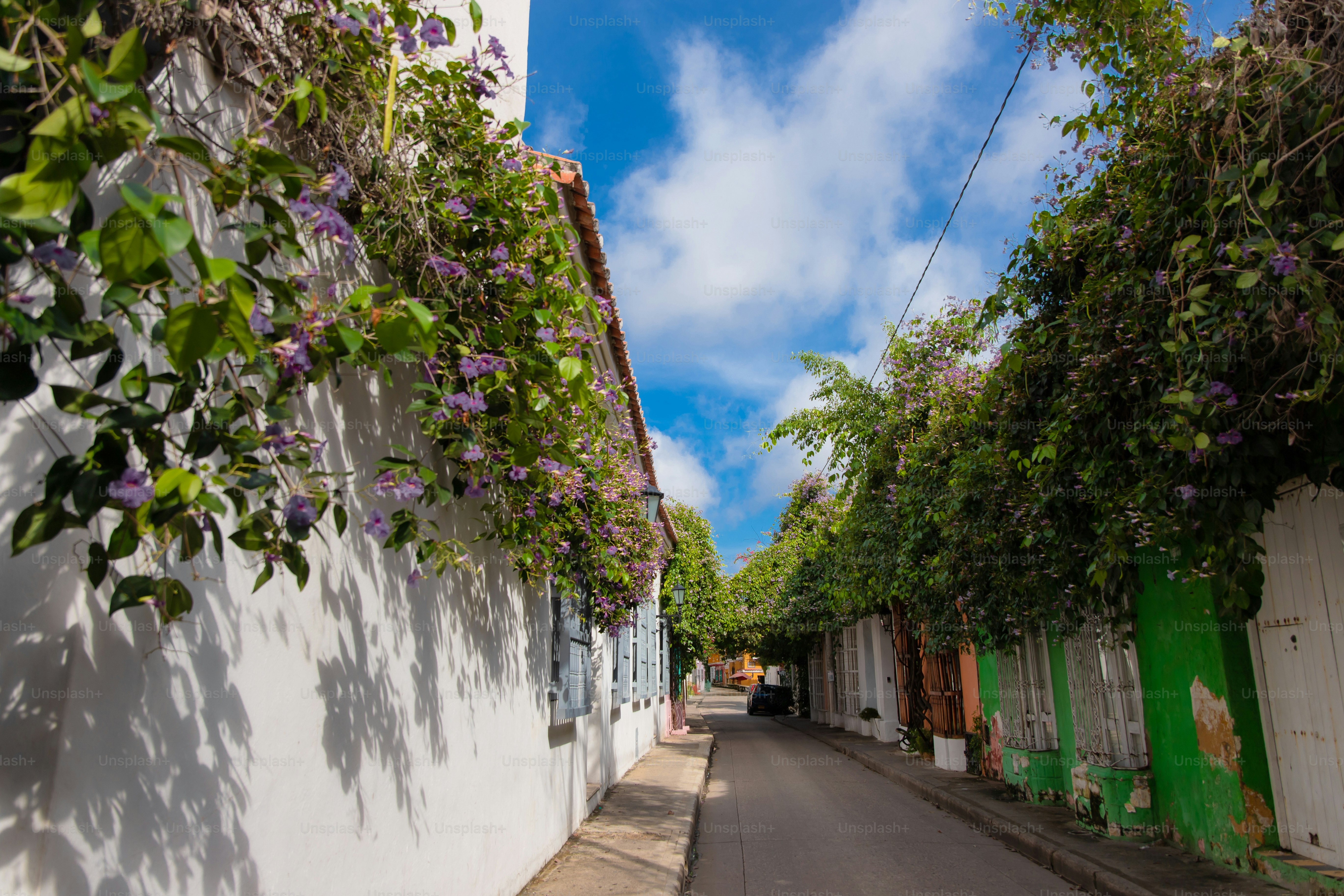 A street lined with white buildings and lots of greenery