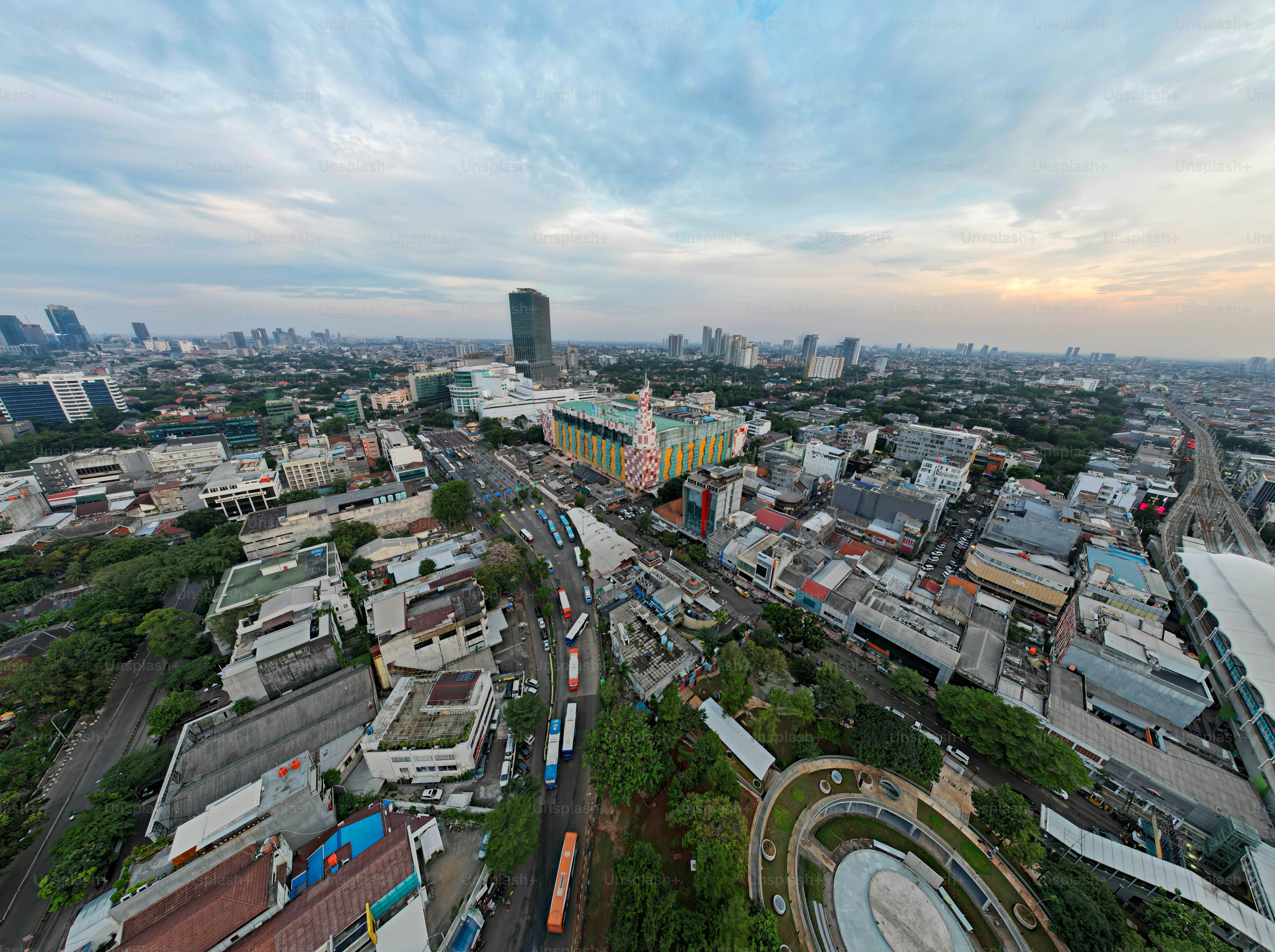 "International University In Bangkok"