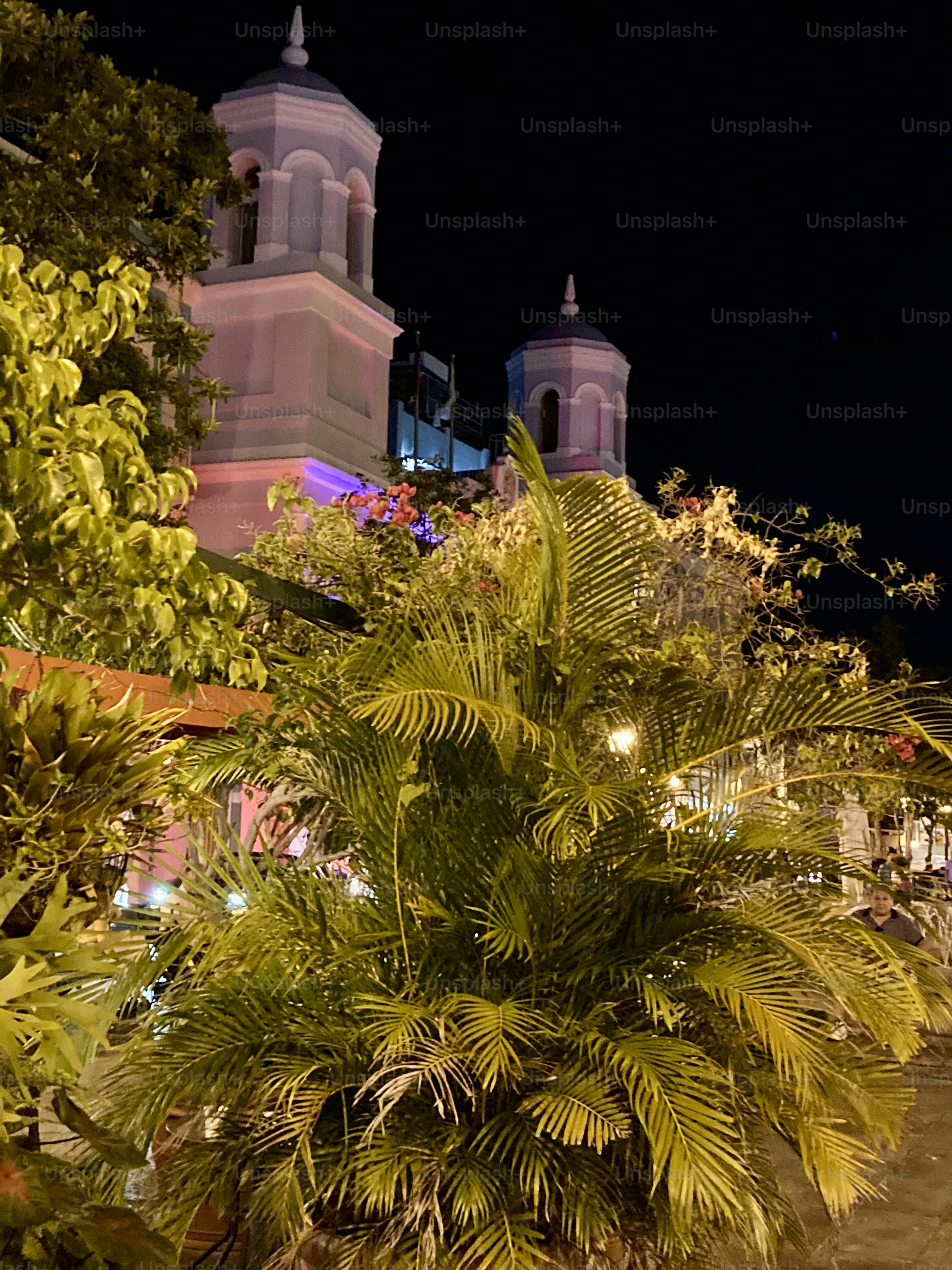 premium_photo-1733259783876-393fa0f094d9