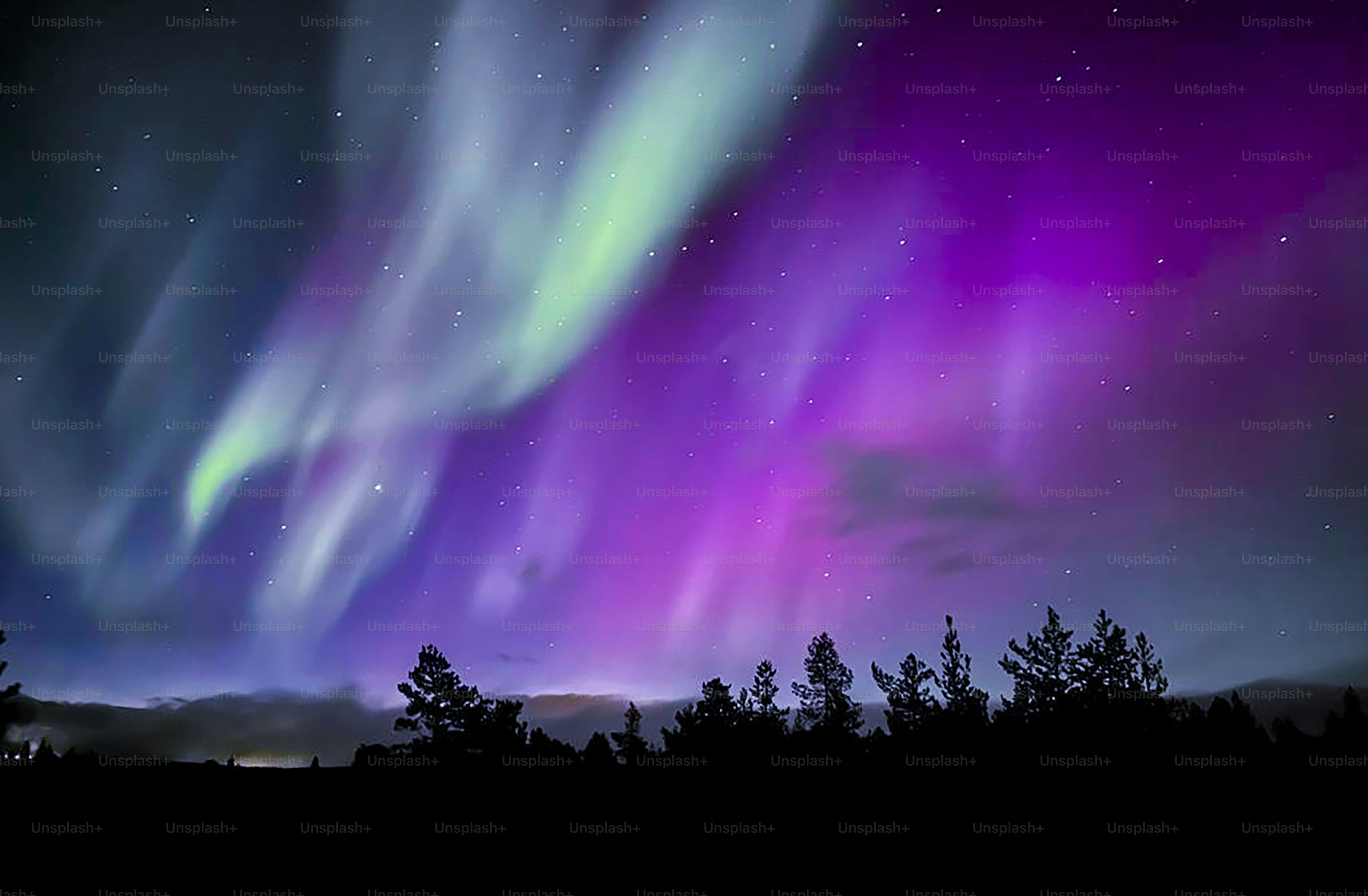 Northern lights in the night sky of Lapland, night landscape.