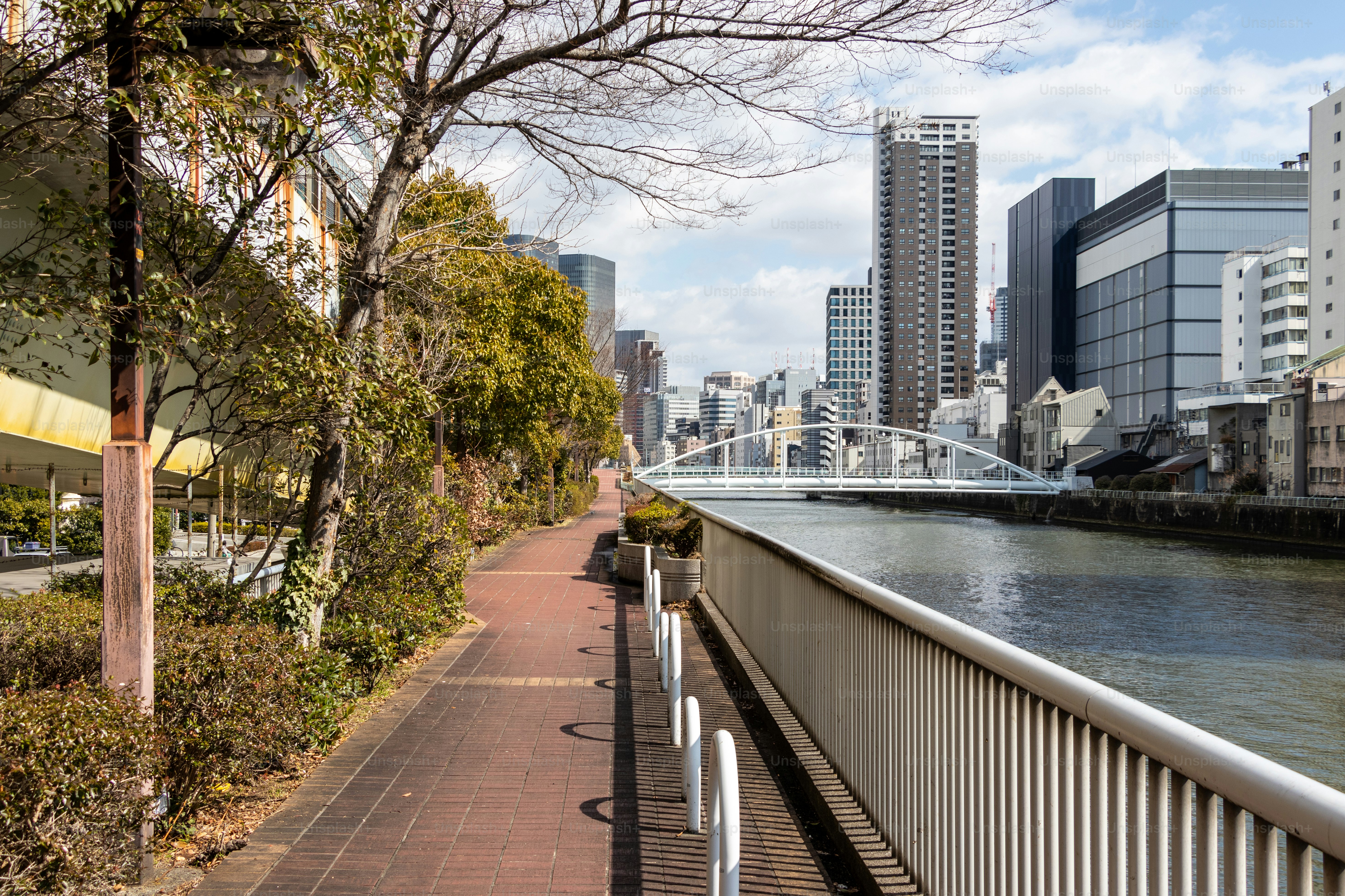 Sendero a pie a lo largo del río Tosabori en Nakanoshima, Osaka