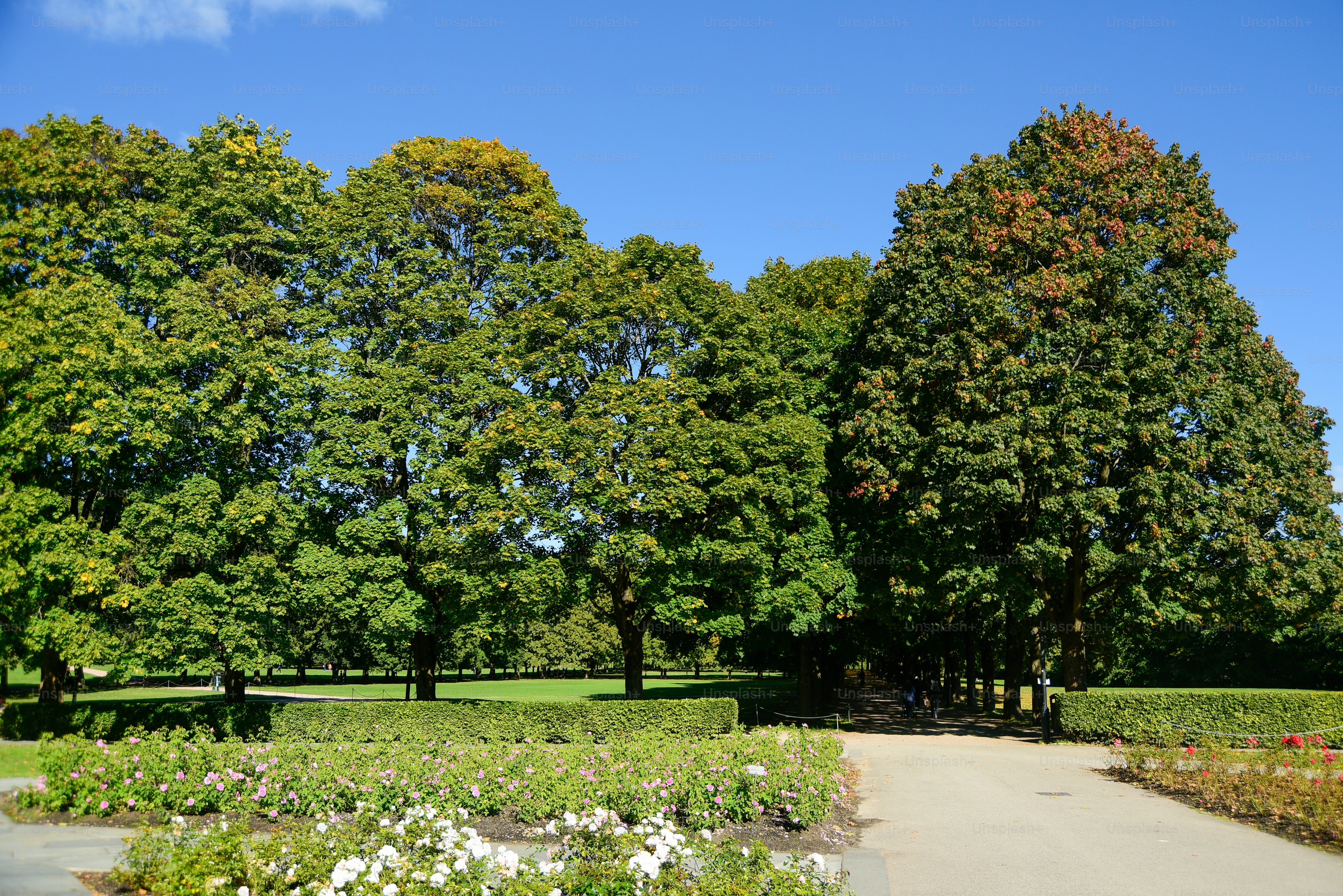 Vale Park, South Australia