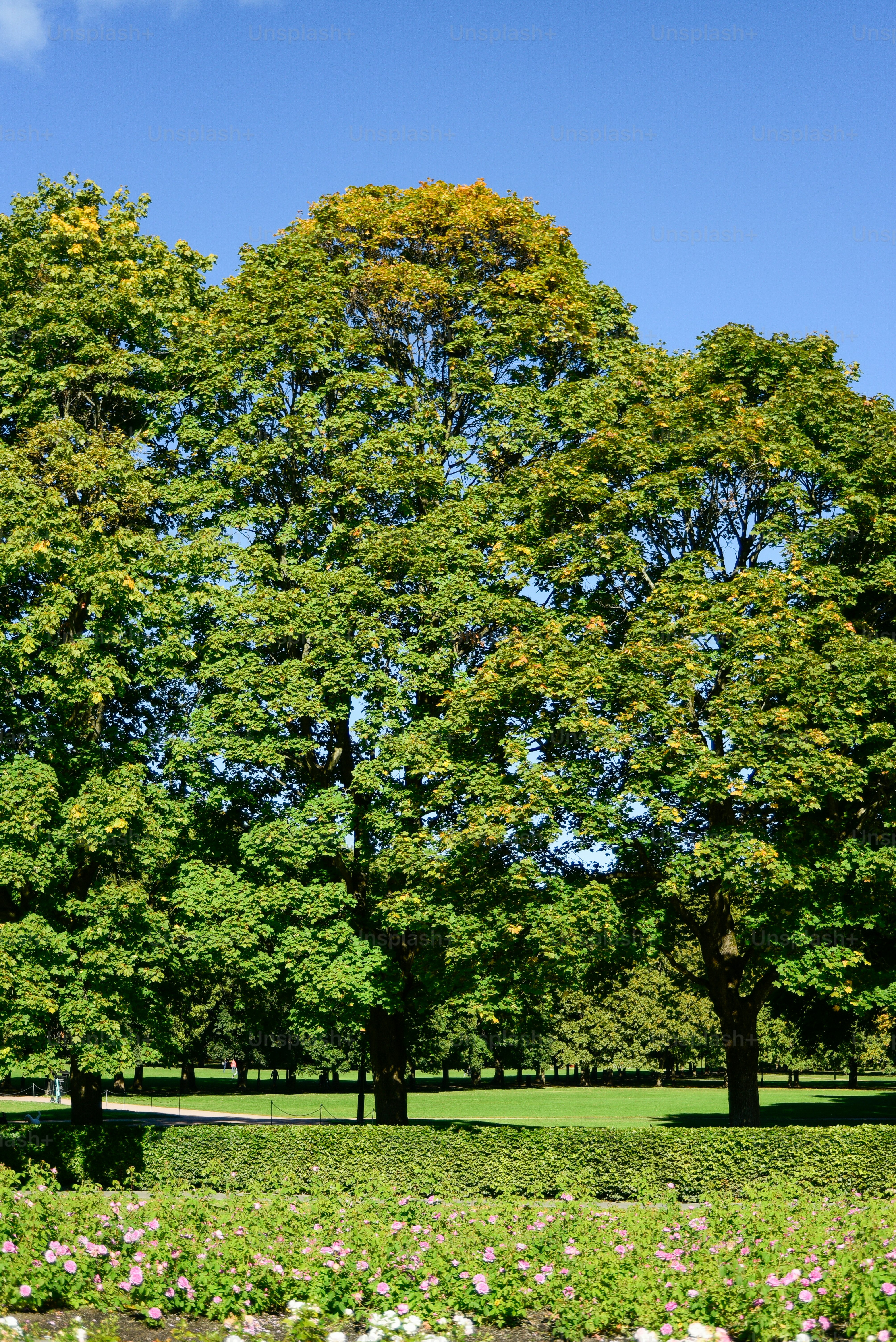 Wunderschöne Landschaft von Oslo, der Hauptstadt Norwegens