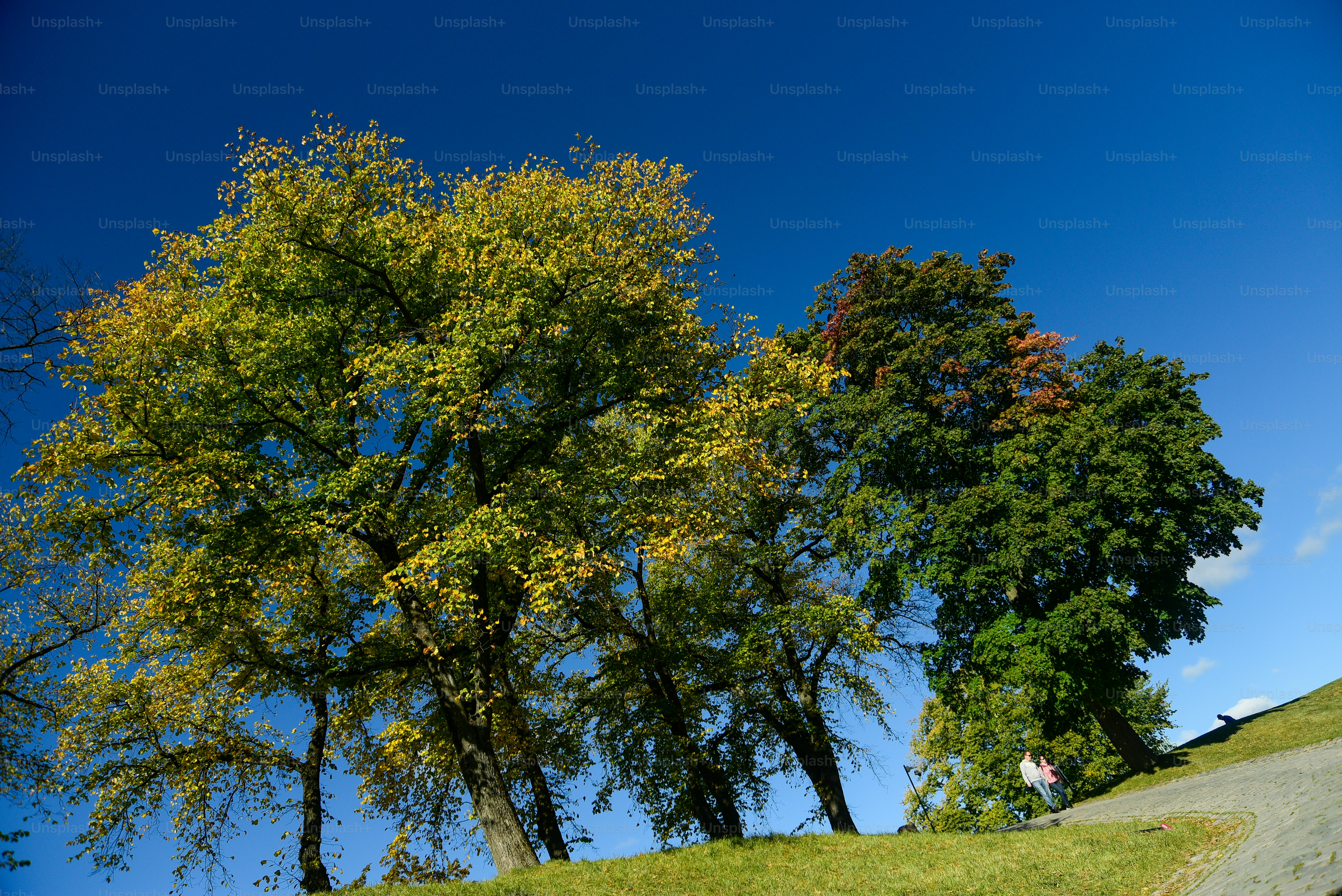 Beautiful scenery of Oslo, the capital of Norway