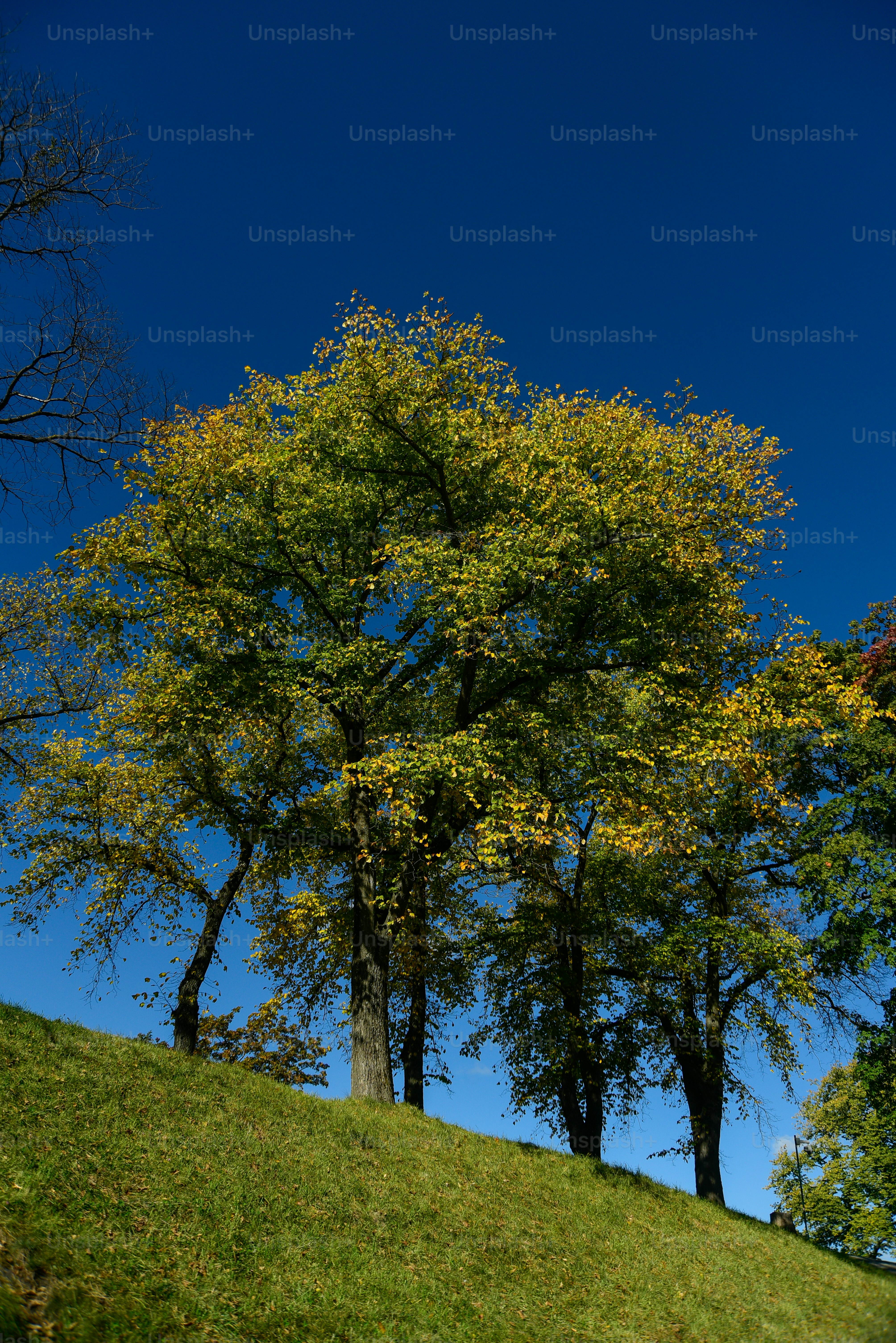 Wunderschöne Landschaft von Oslo, der Hauptstadt Norwegens