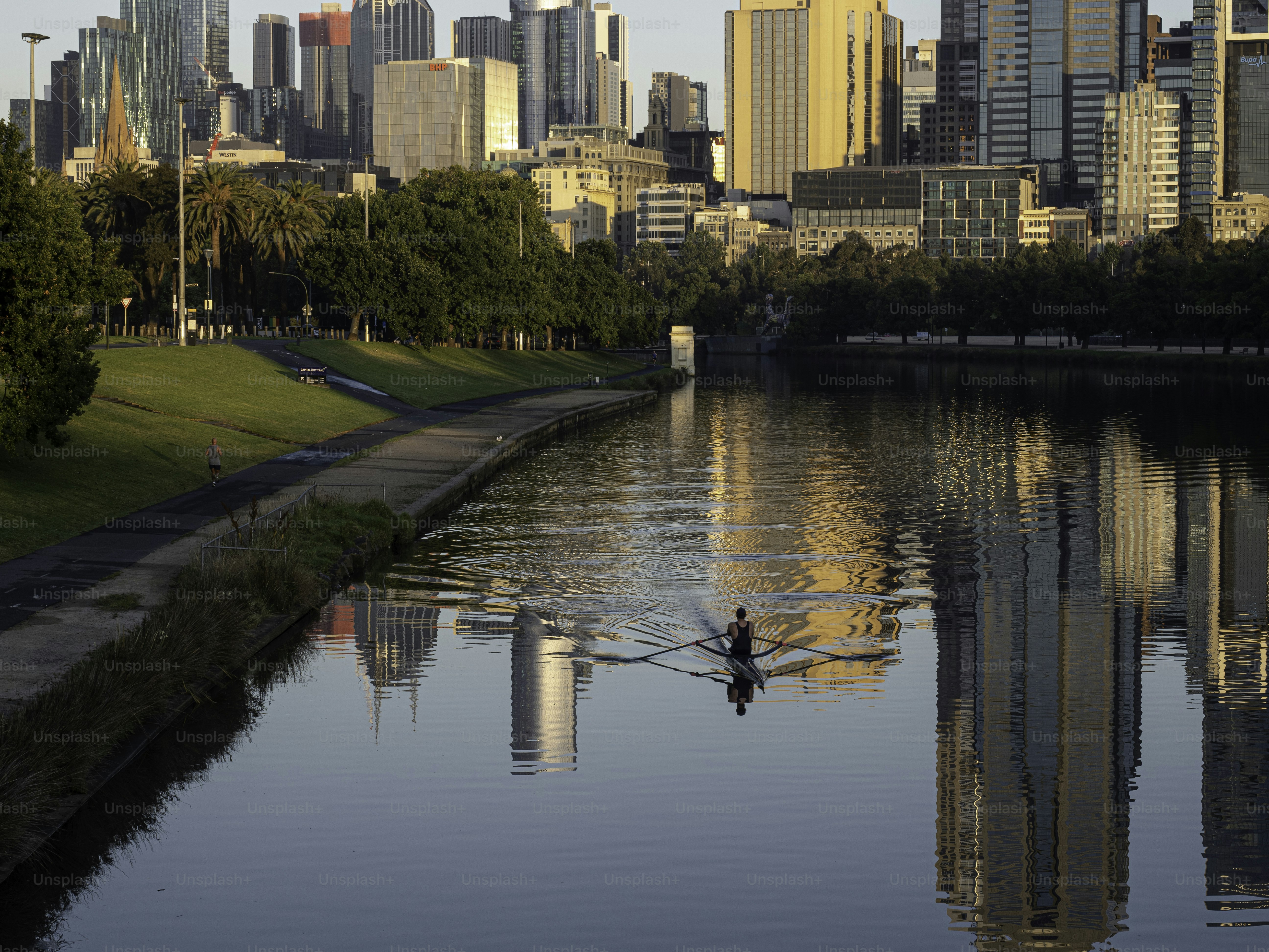 Melbourne skyline and Yarra river with early morning rower