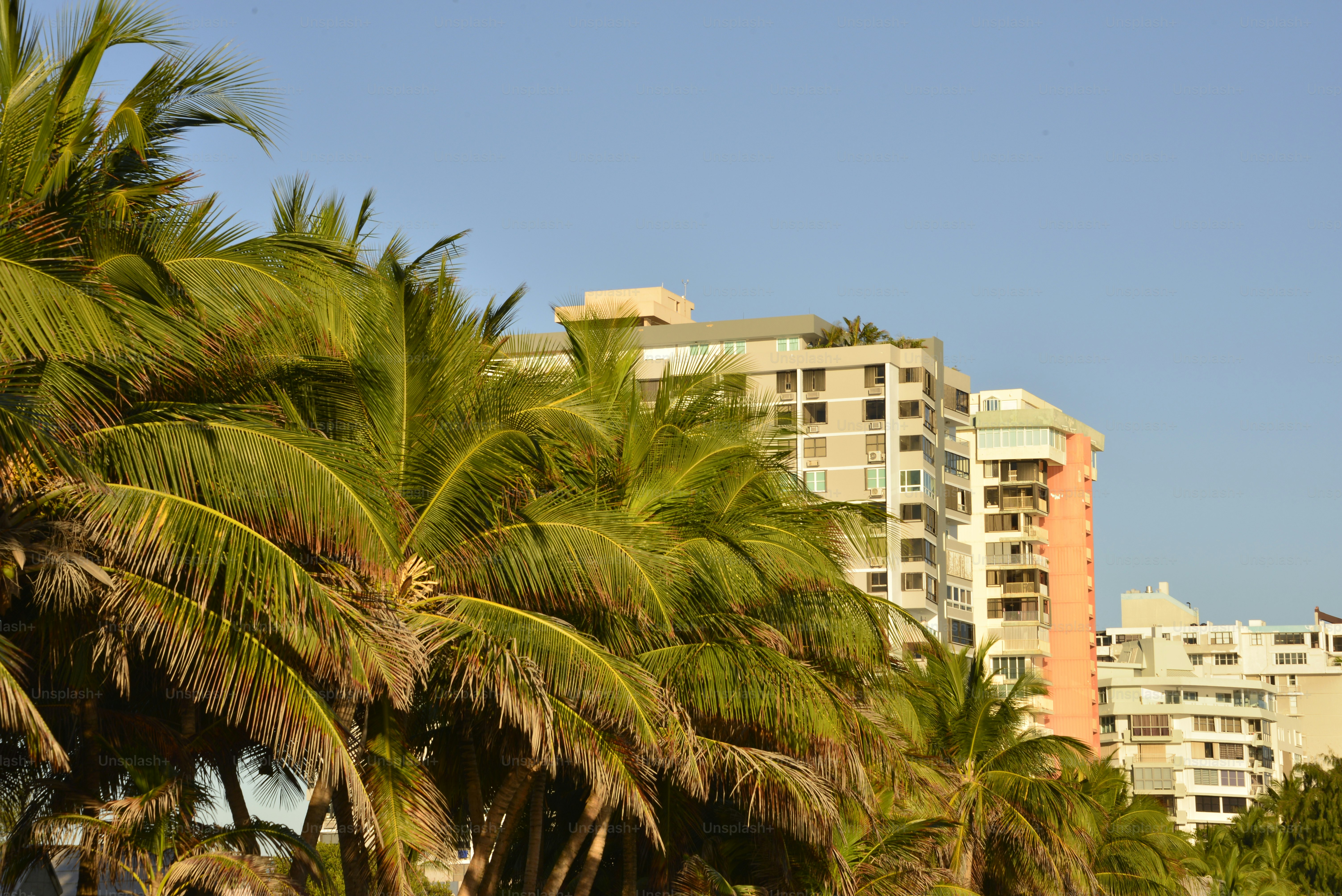 Photo Taken In San Juan, Puerto Rico