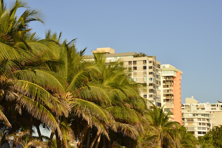 Castle Comfort Lodge resort