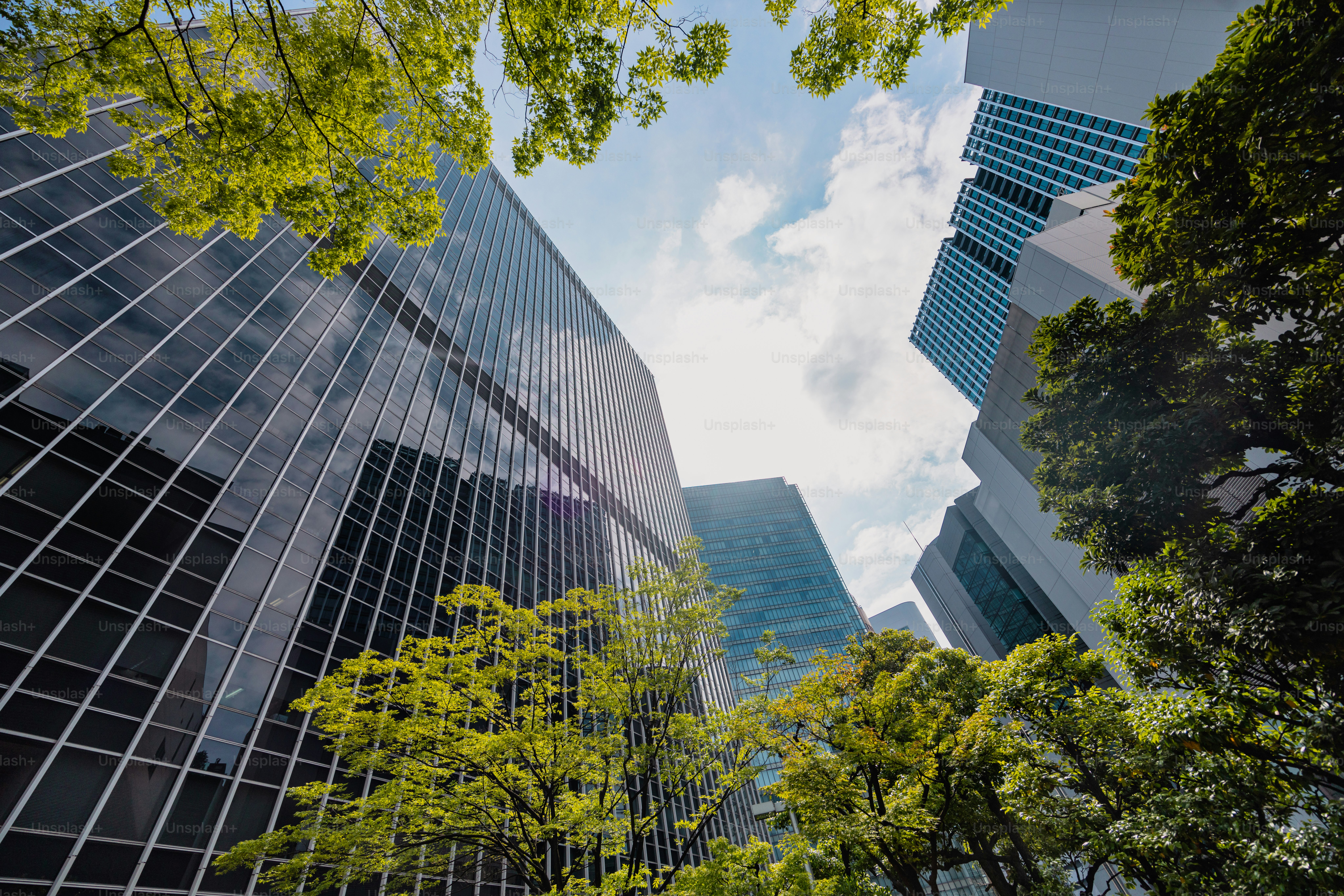 都会のパノラマビュー