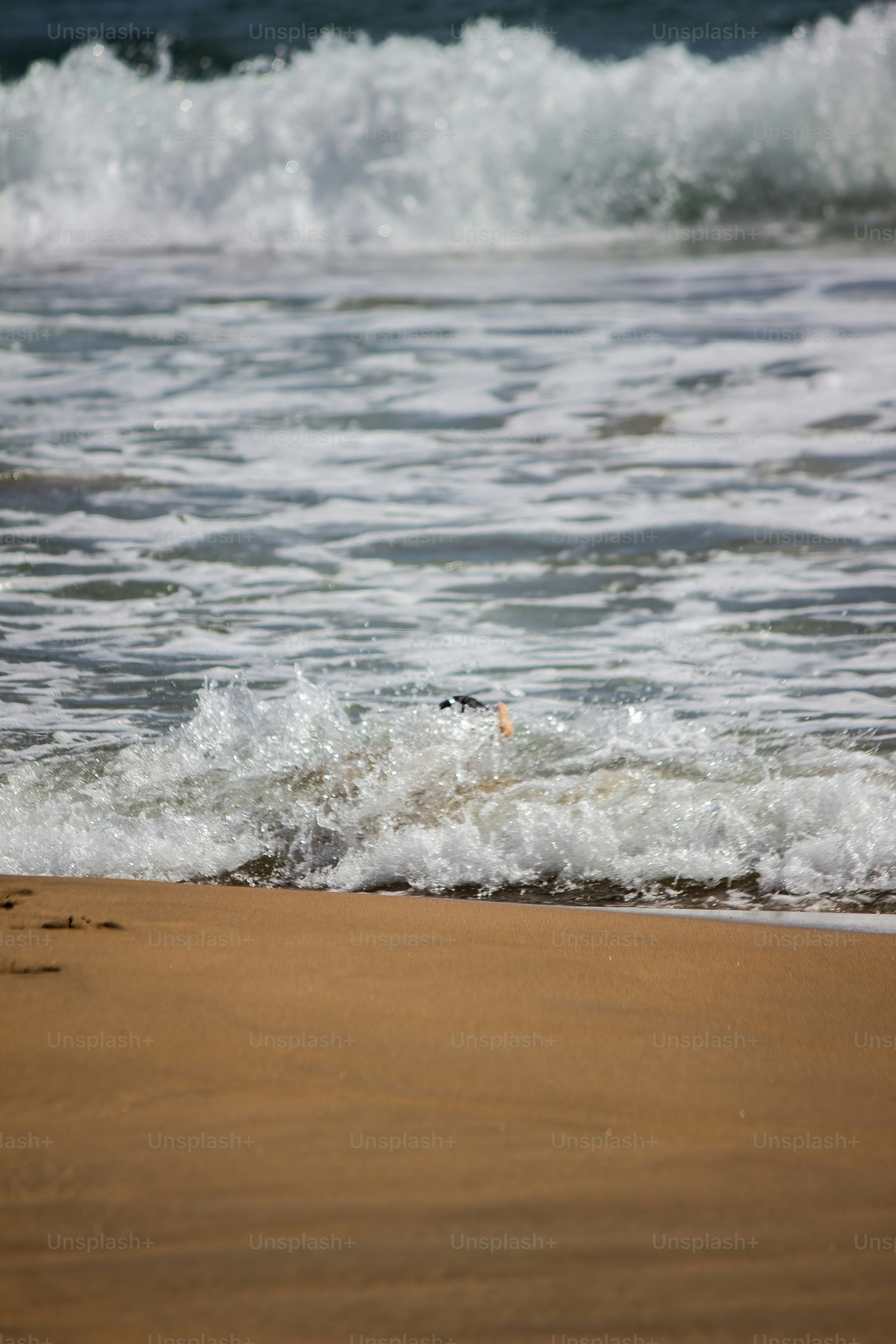 Detail ombak laut yang mencapai pantai, konsep liburan, istirahat dan relaksasi. Ombak bertemu dengan pantai.  Venezuela. Laut Karibia. Fokus Selektif.