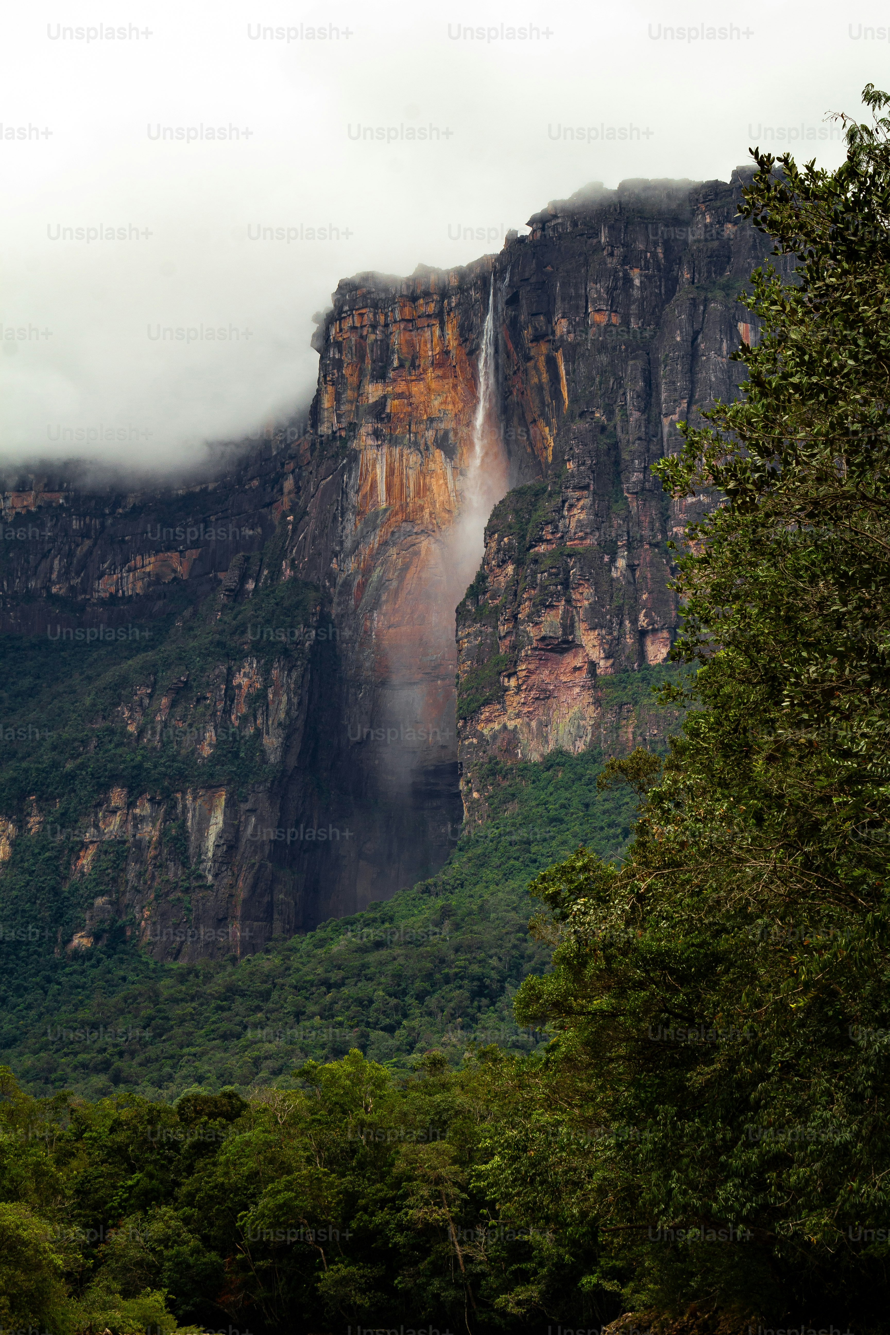 Angel Falls 1080p Wallpaper