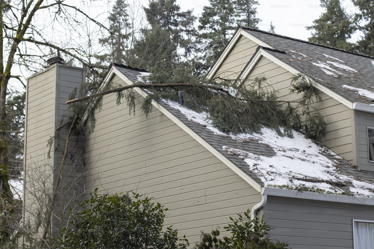 Storm Restoration