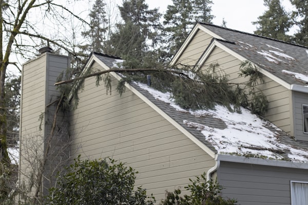 Fallen tree branches on residential roof after severe storm