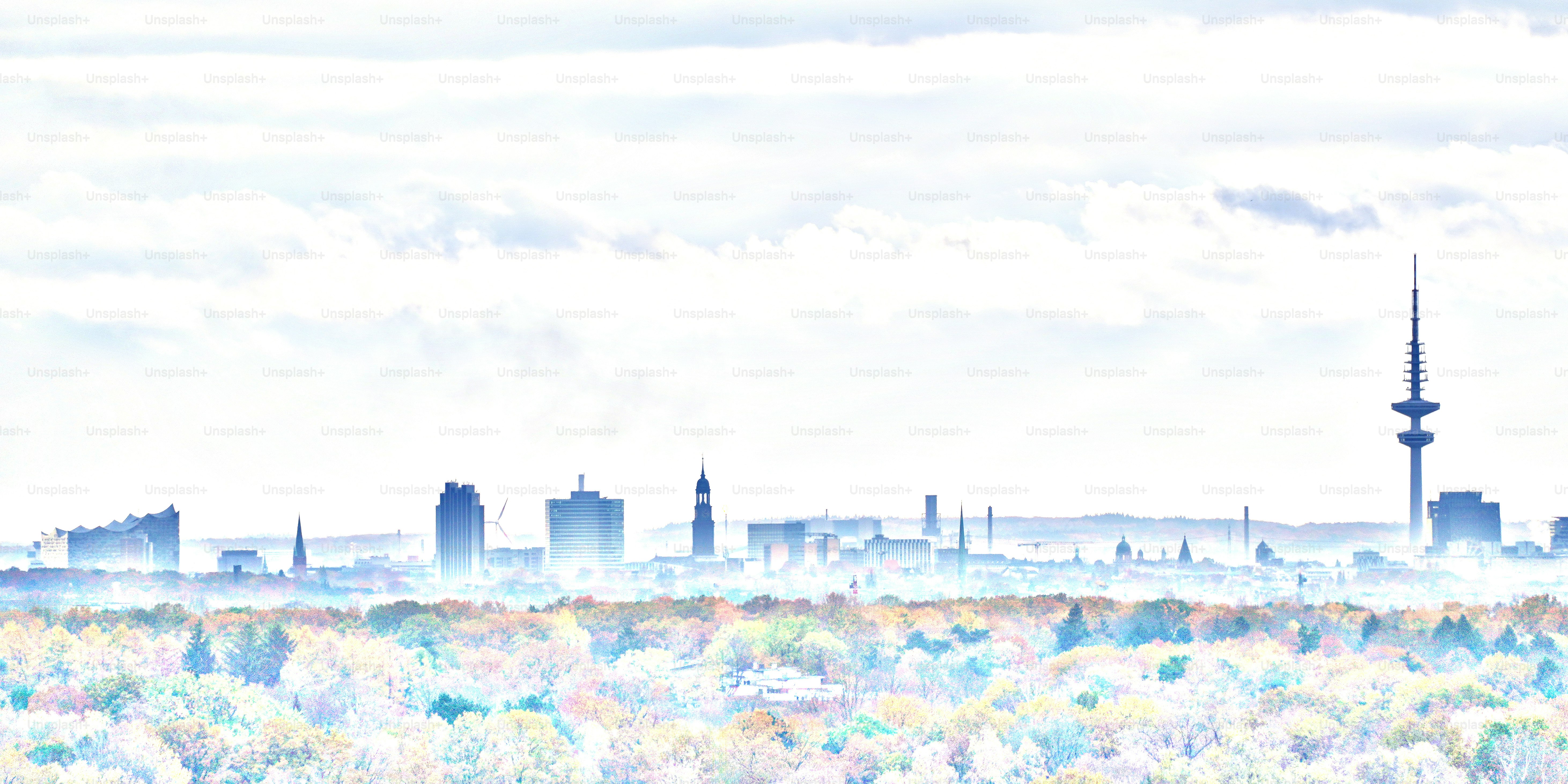 The skyline of Hamburg with the most famous landmarks ("Elbphilharmonie" concert hall, "Hamburger Michel" church, "Hamburger Fernsehturm" television tower).