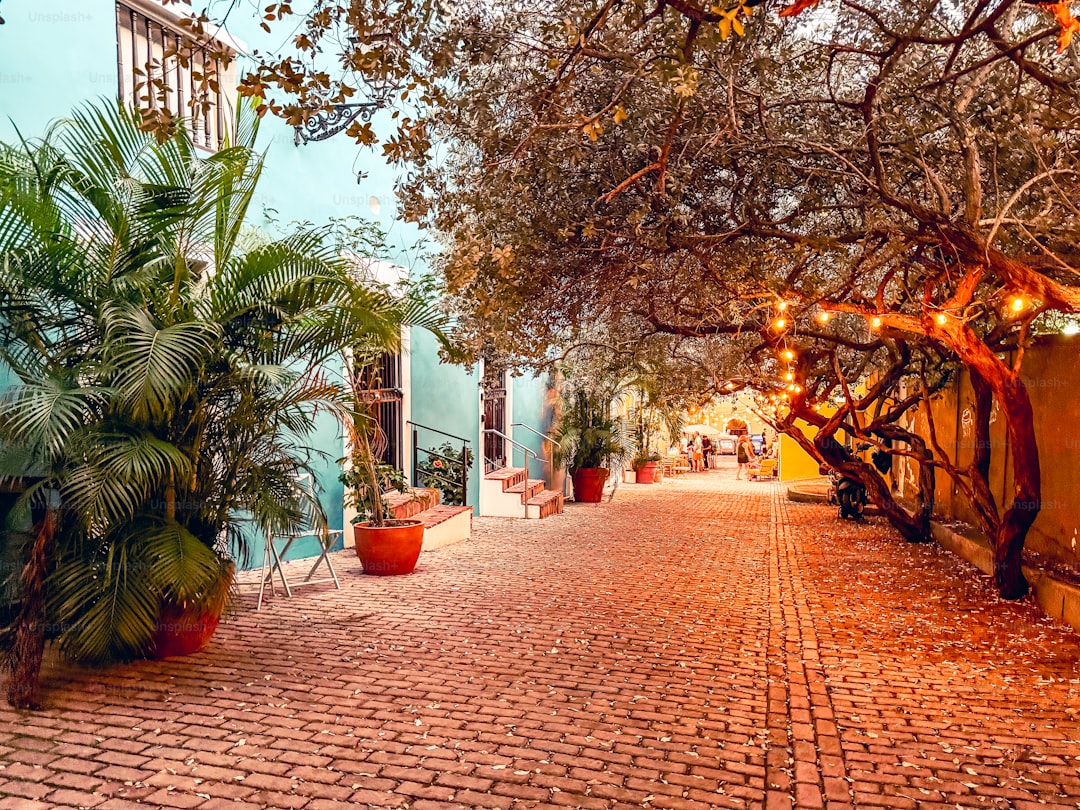 Why Los Feliz is the Ultimate