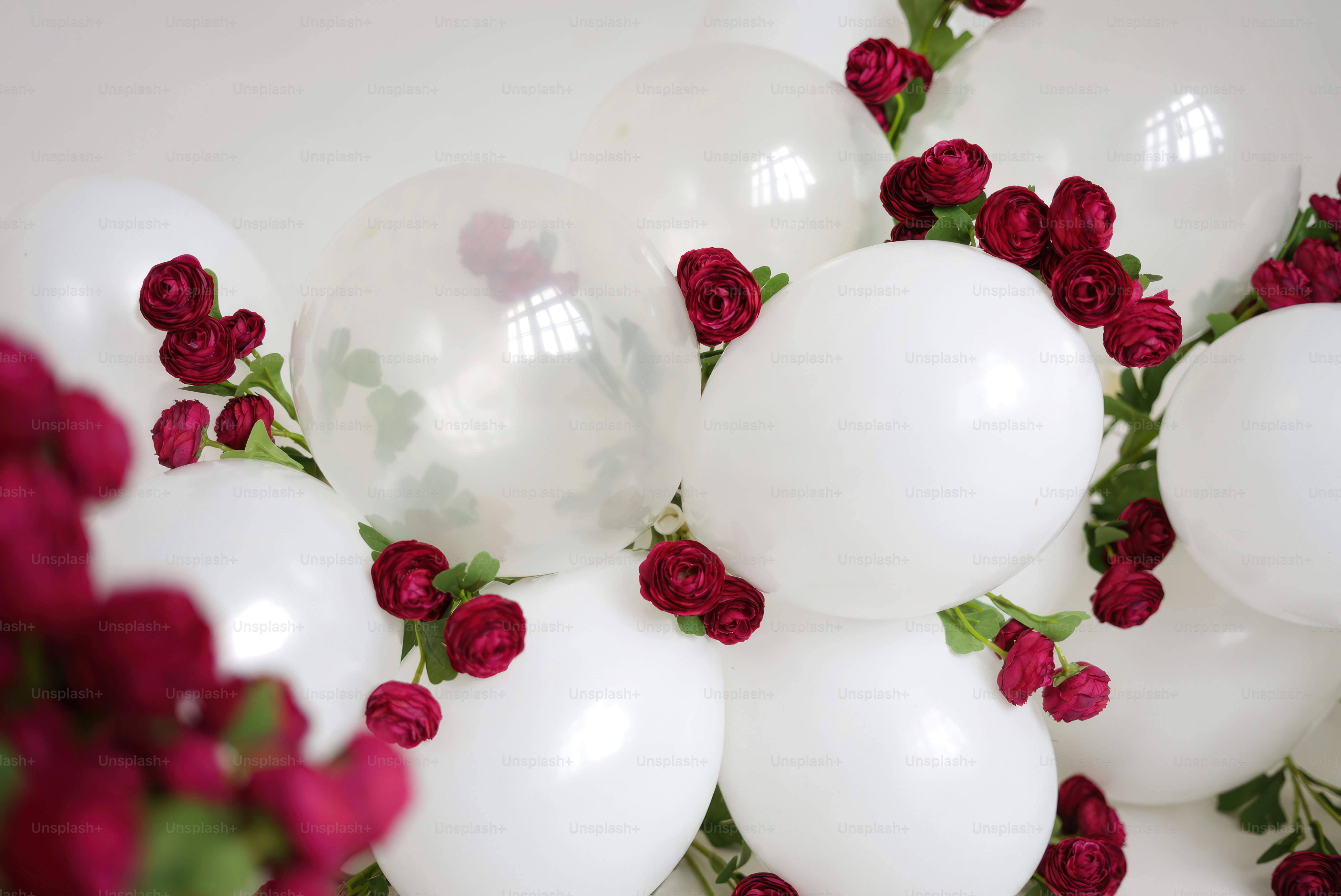 Garland of white balloons and burgundy roses.