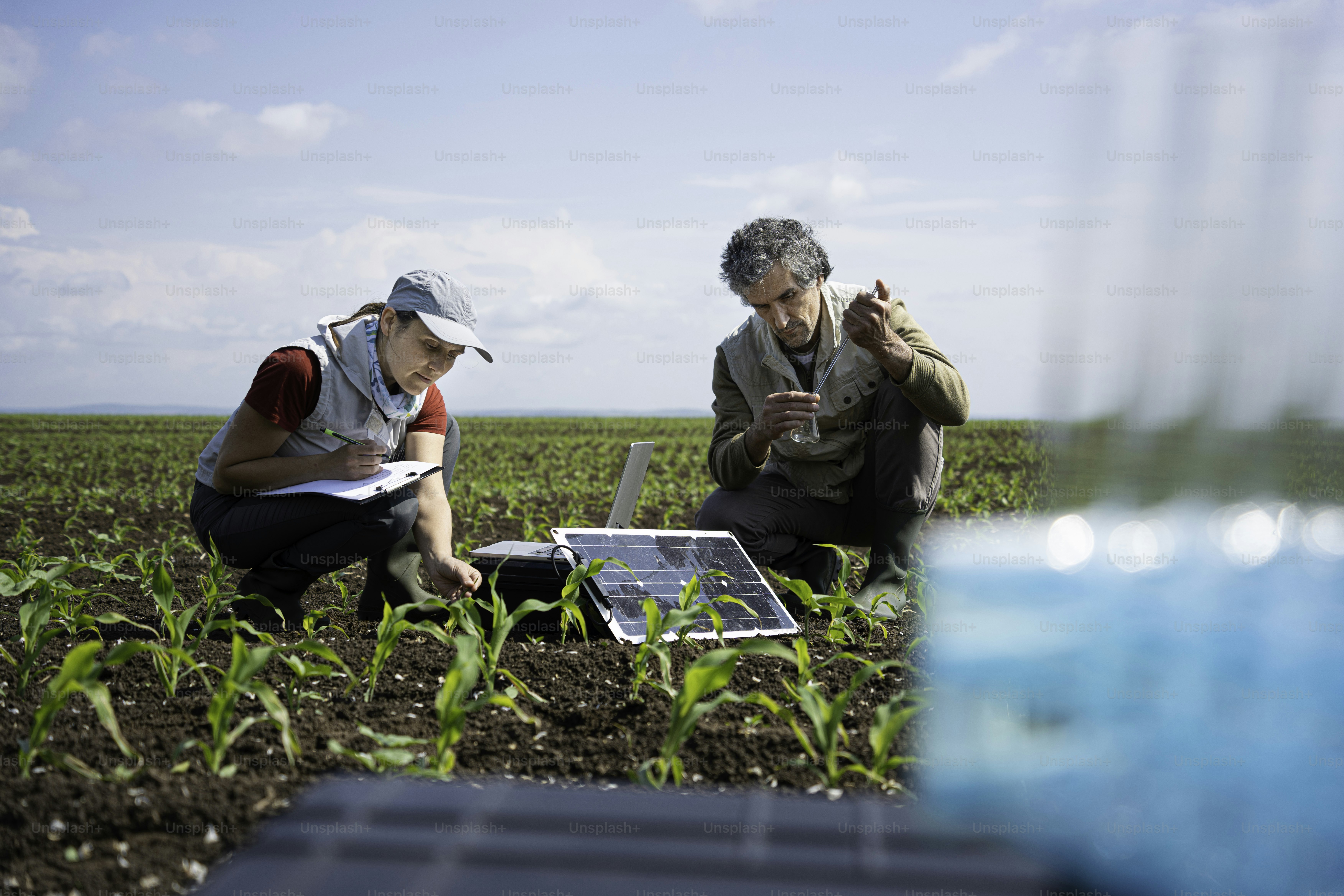 Regenerative agriculture. Agronomists doing field-based soil studies using mobile lab and AI-driven technologies. Survey of soil environment restoration.