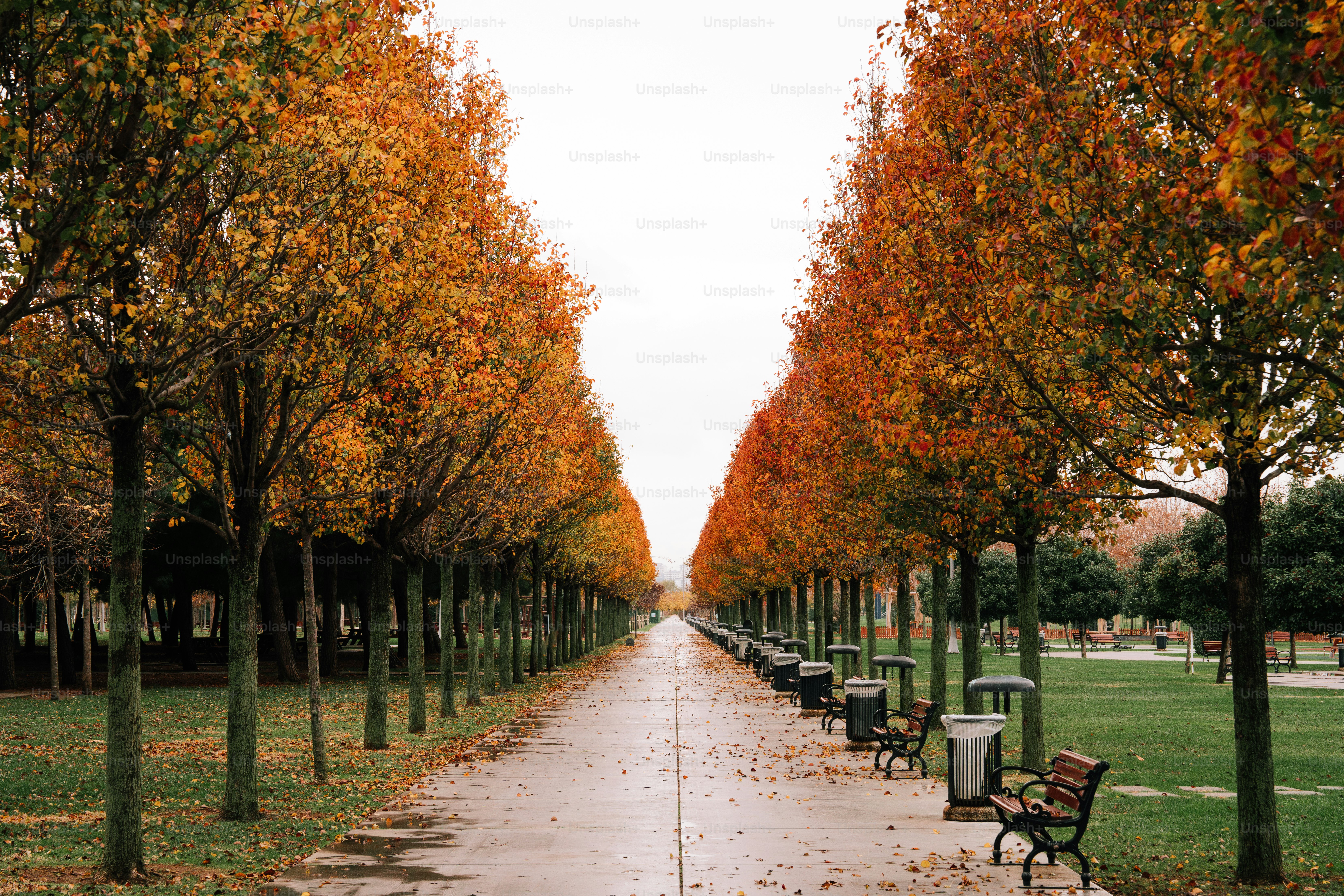 A row of benches sitting next to each other in a park