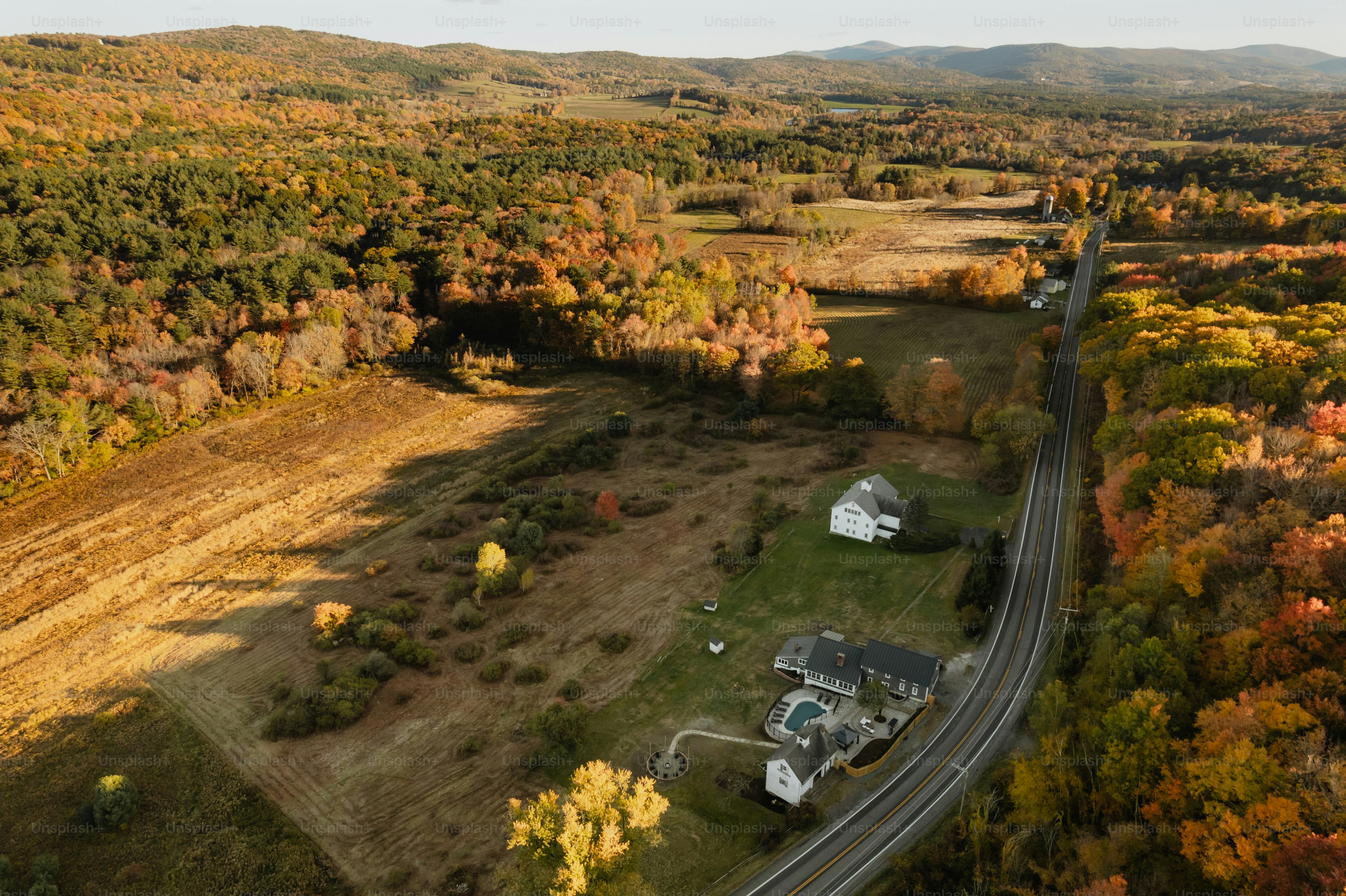 An aerial view of a road surrounded by trees photo – Home Image on Unsplash