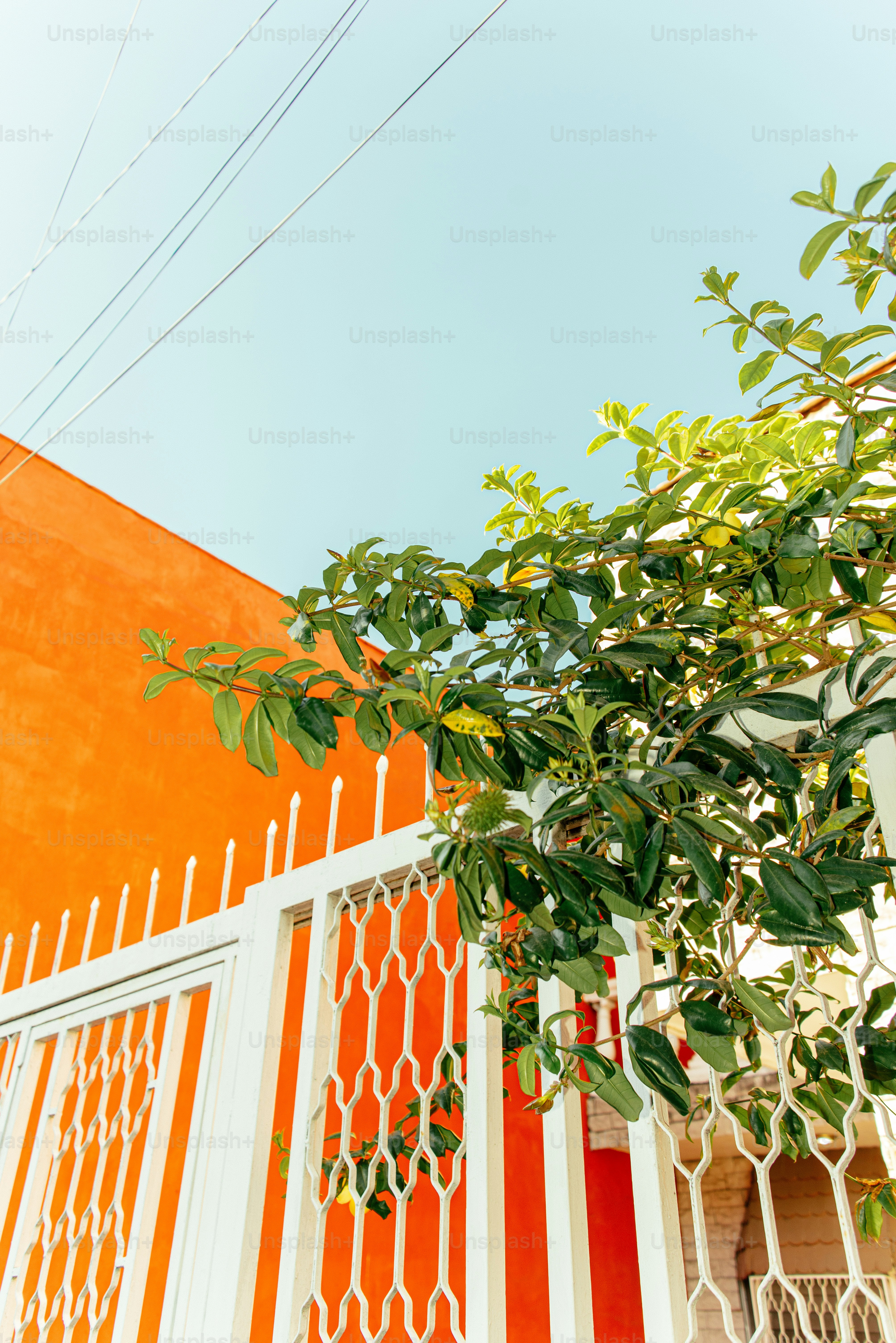 An orange and white building with a tree in front of it