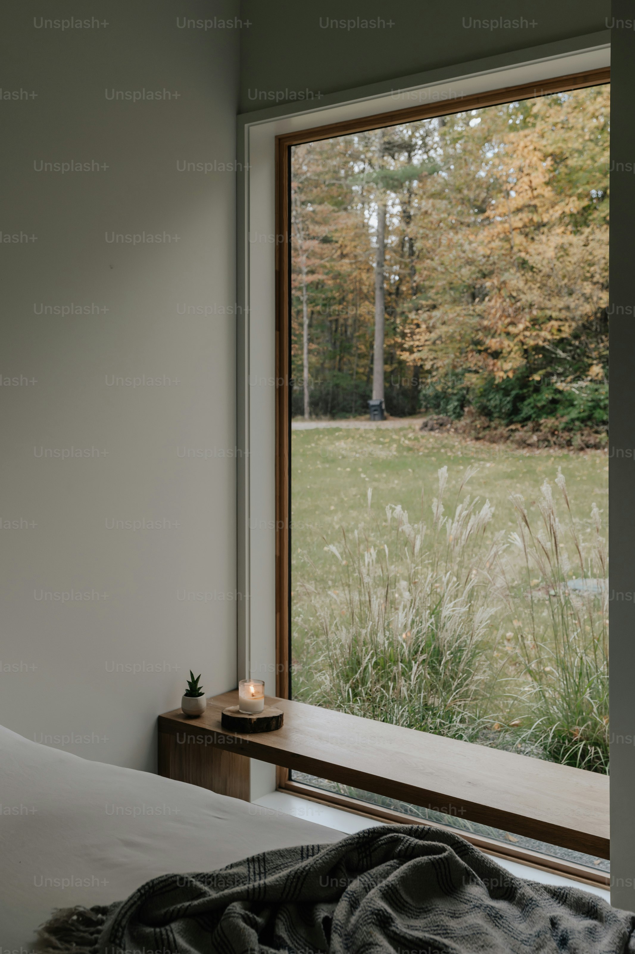 窓際に毛布を敷いたベッド