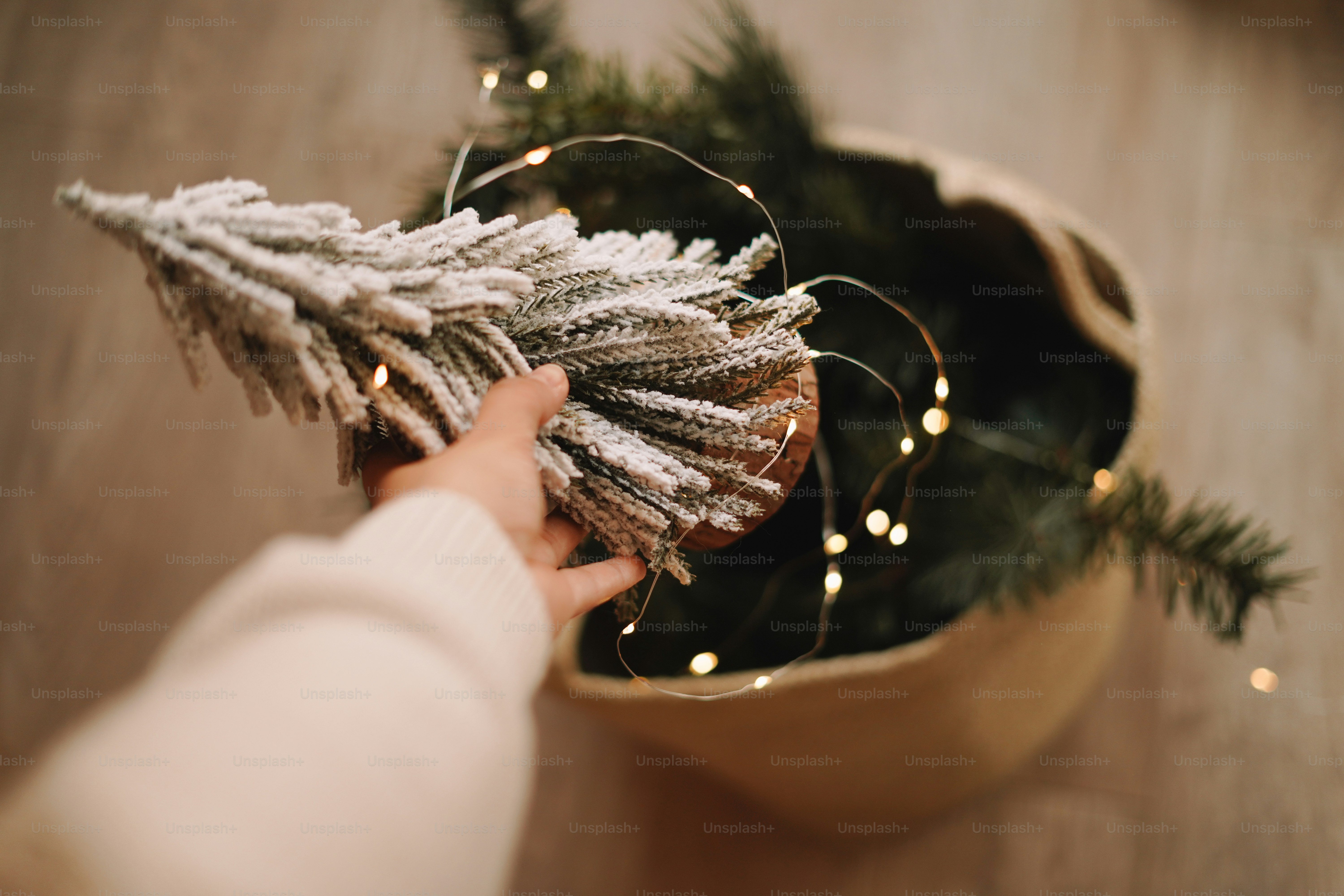 A person holding a small christmas tree in their hand