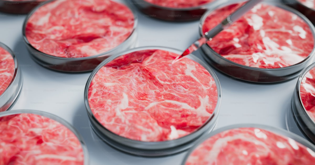 A close up of a tray of raw meat photo – Food Image on Unsplash