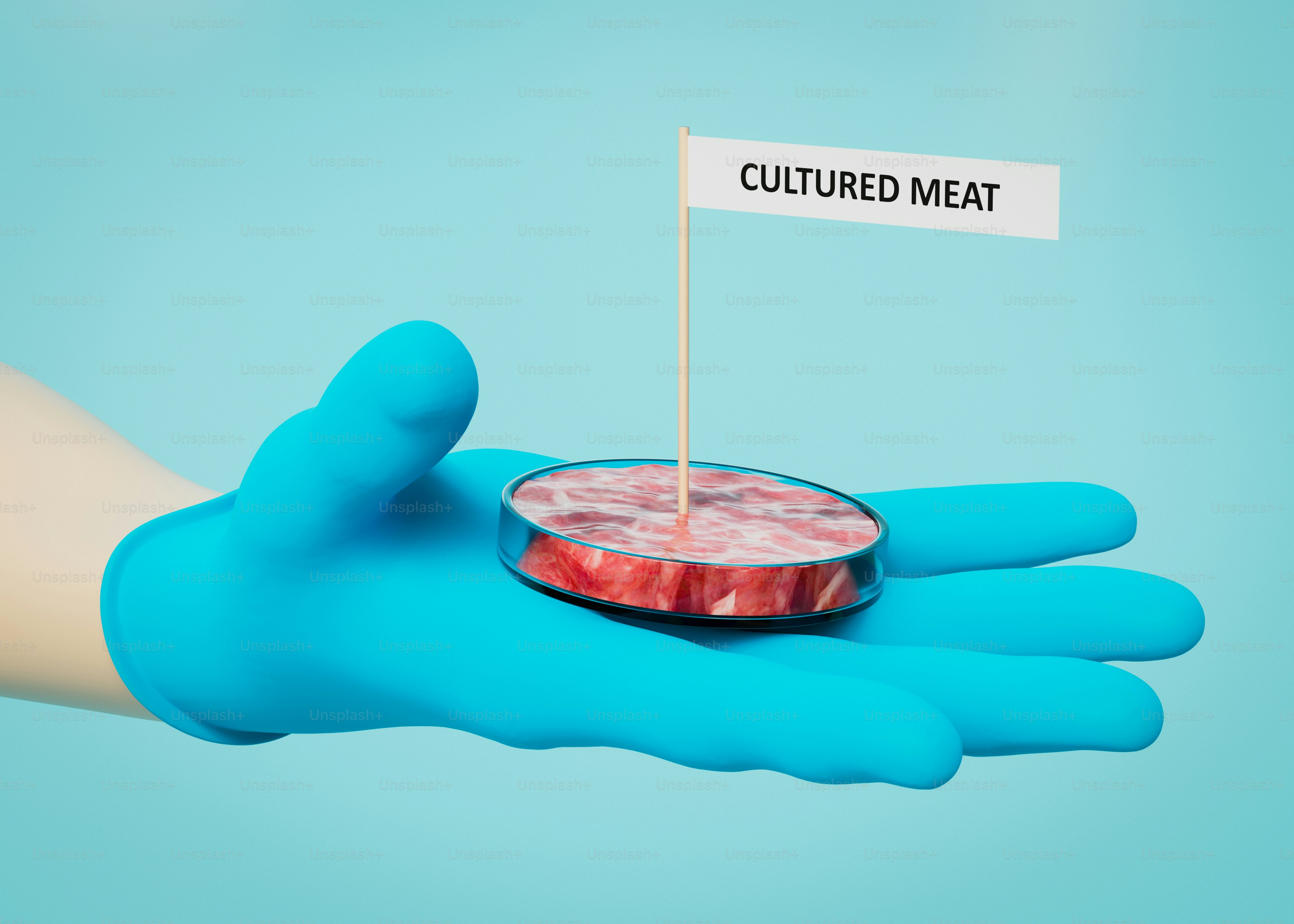 A gloved hand holding a plate with a sign on it