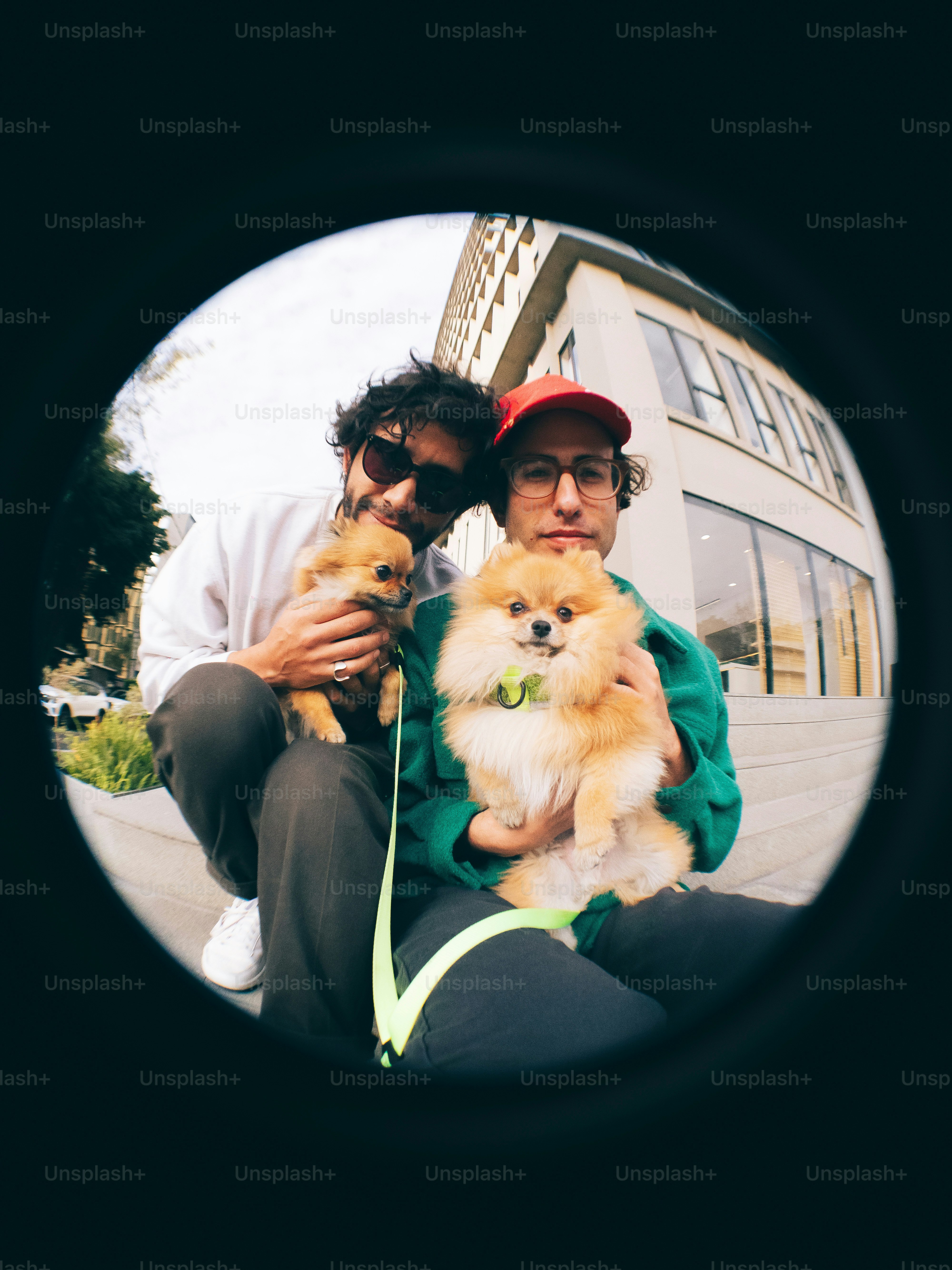 작은 개를 안고 있는 남자와 여자