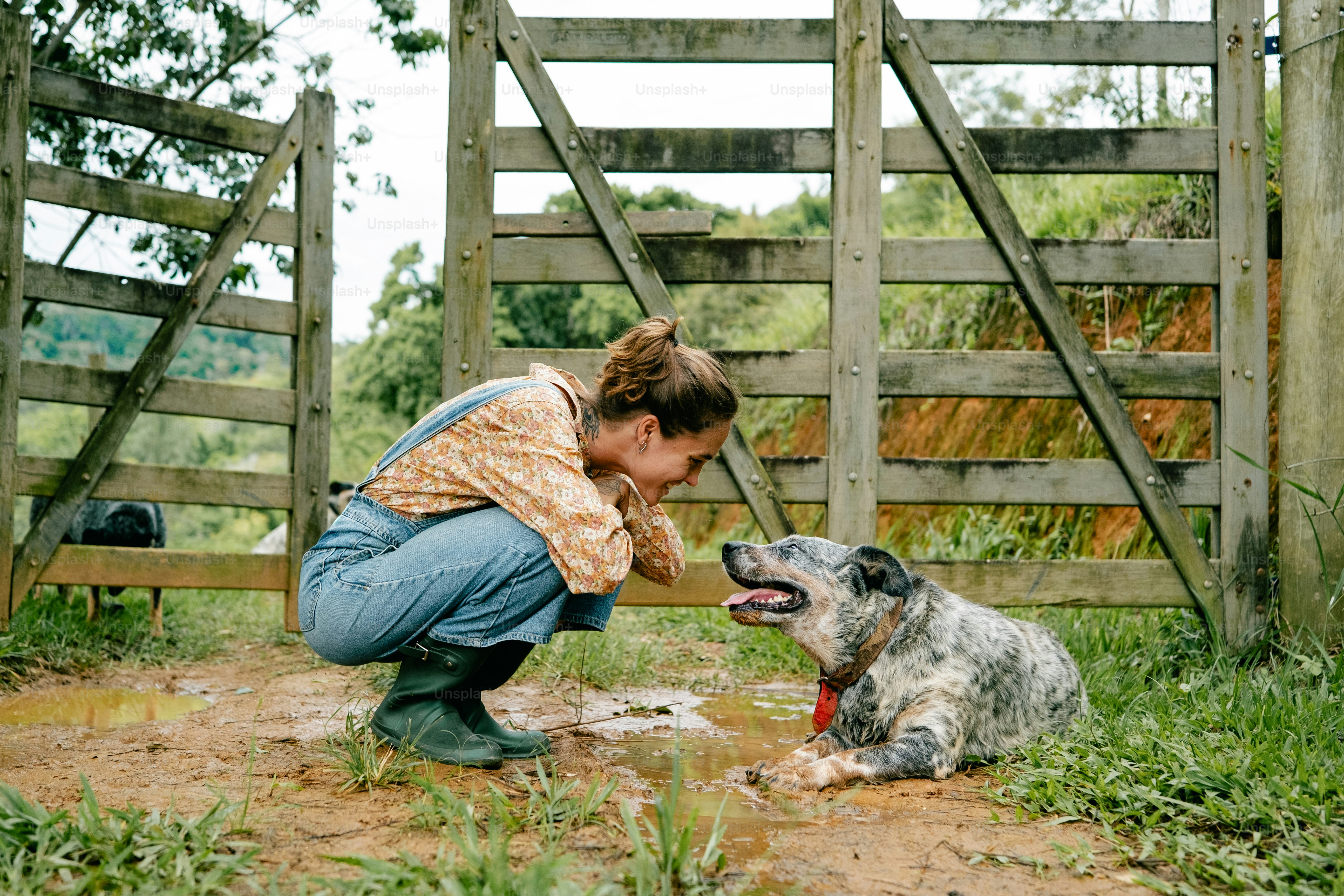A woman kneeling down next to a dog
