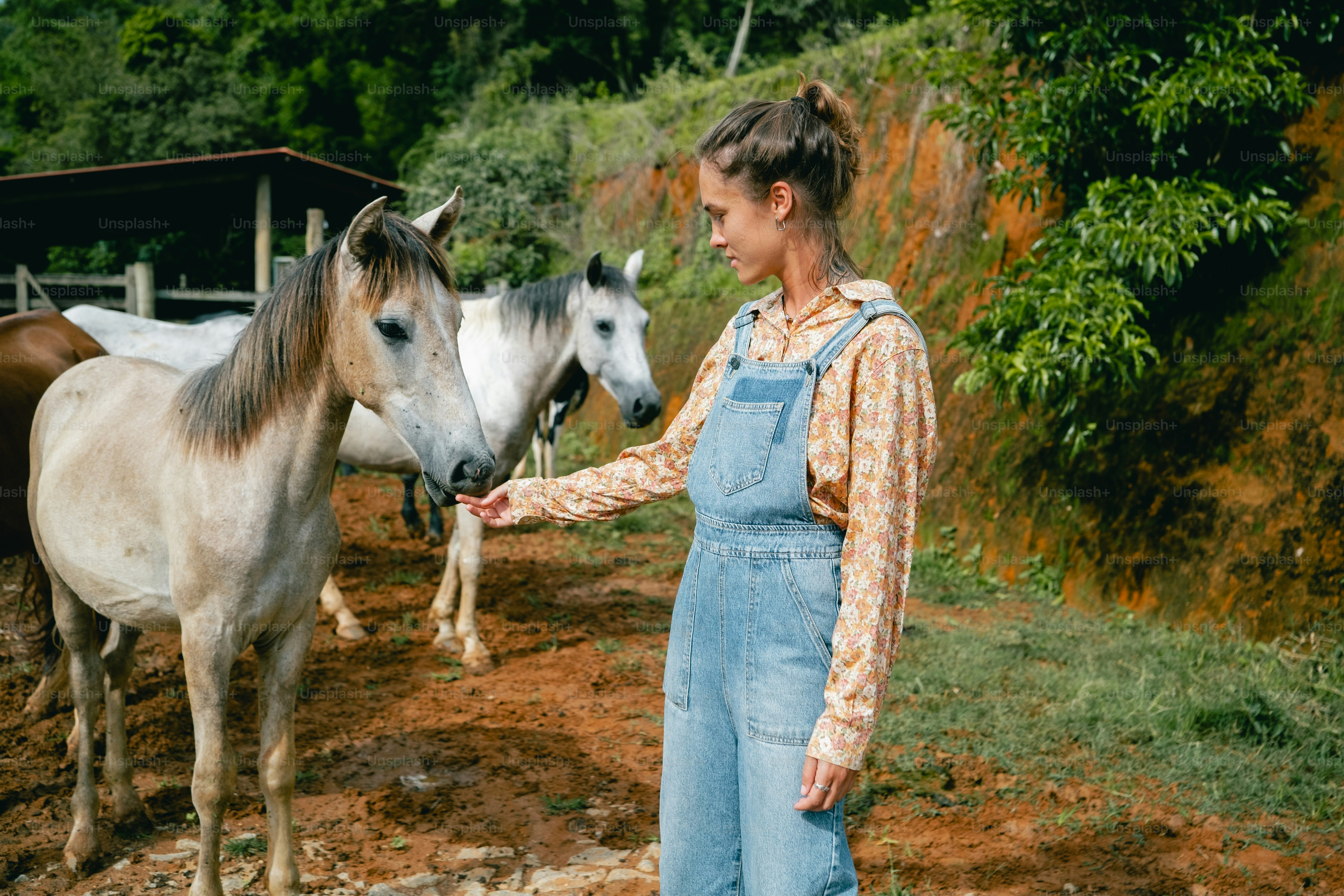 una donna in tuta in piedi accanto a due cavalli