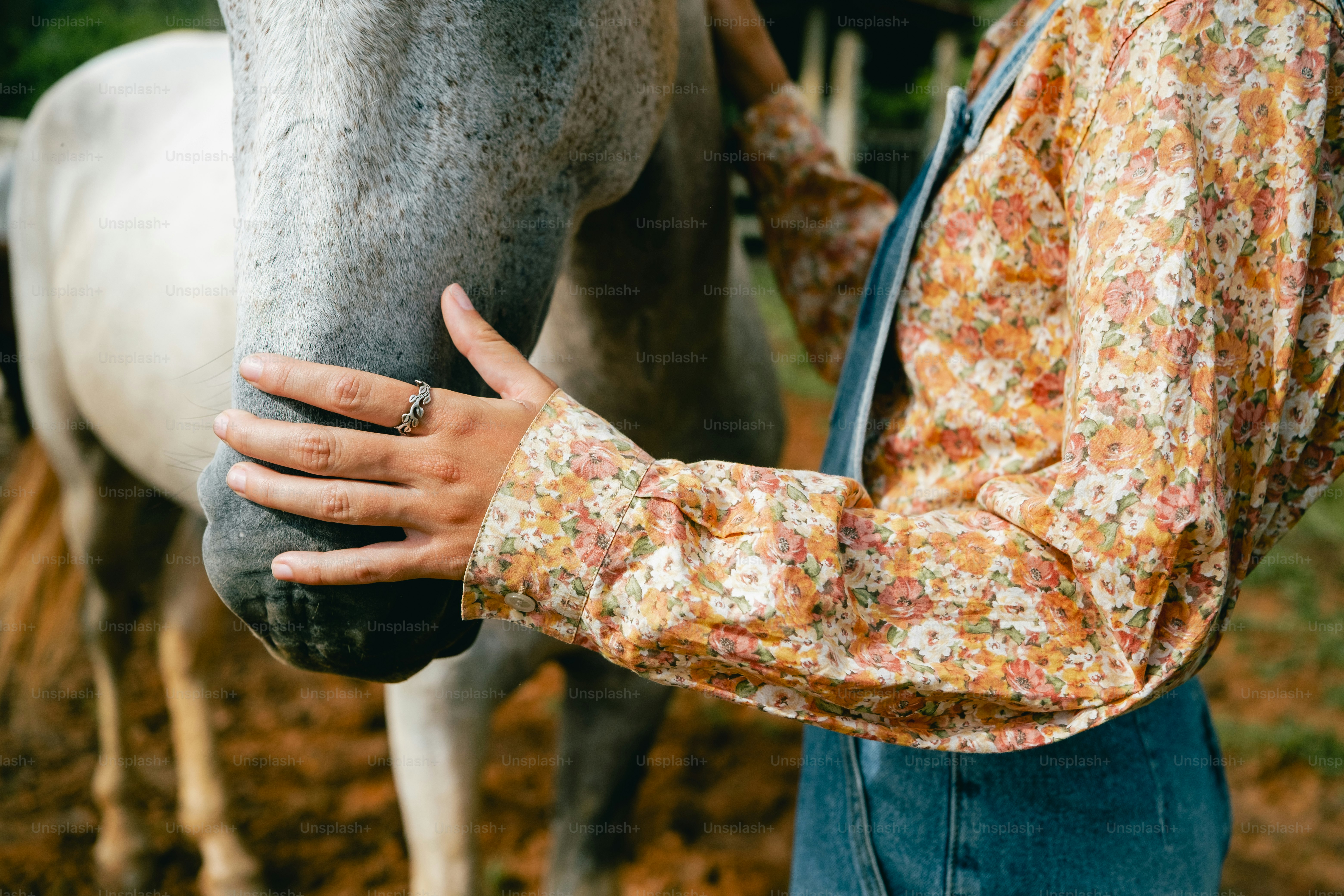 Ein Mann streichelt die Nase eines Pferdes