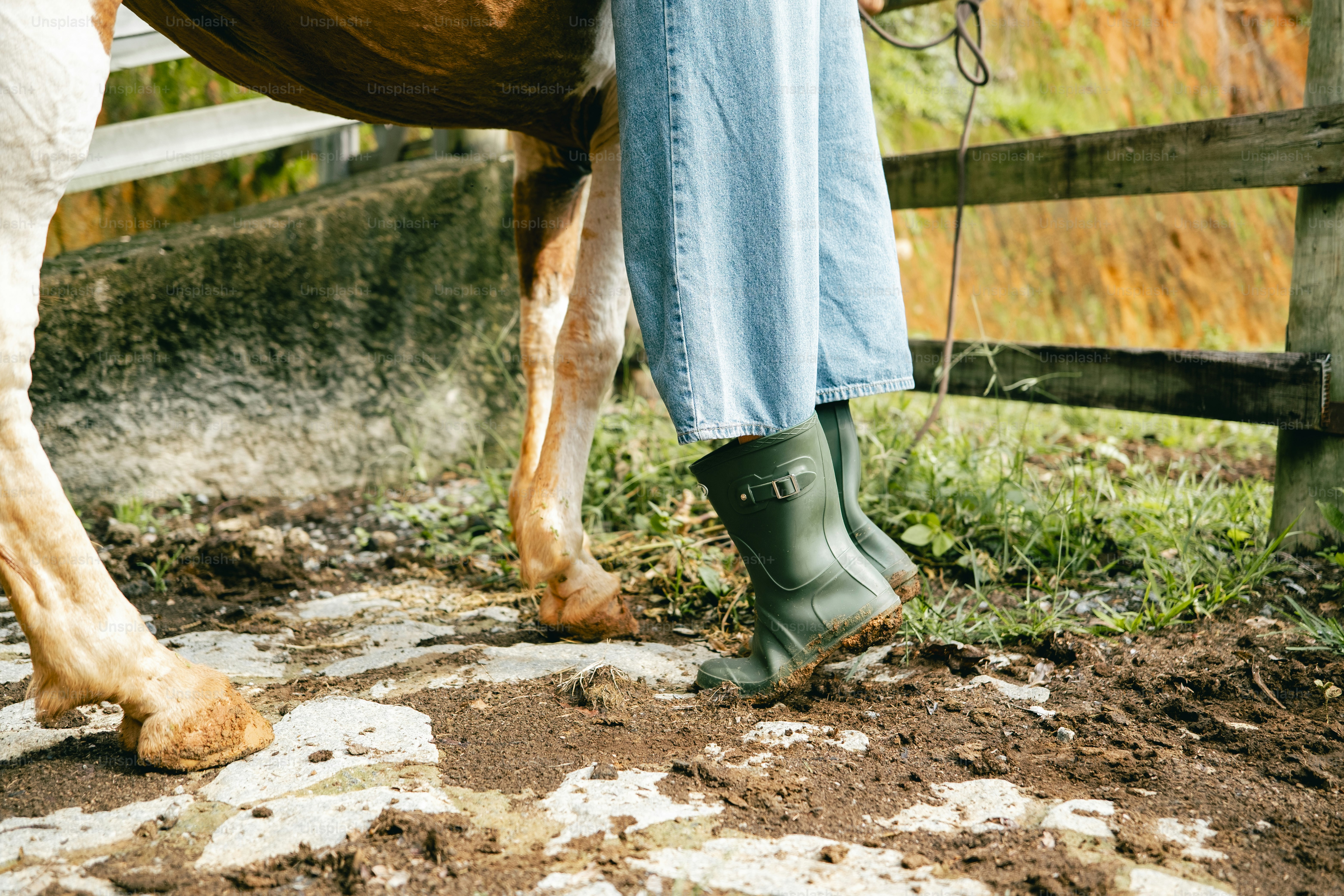 Eine Frau, die neben einem braunen Pferd steht