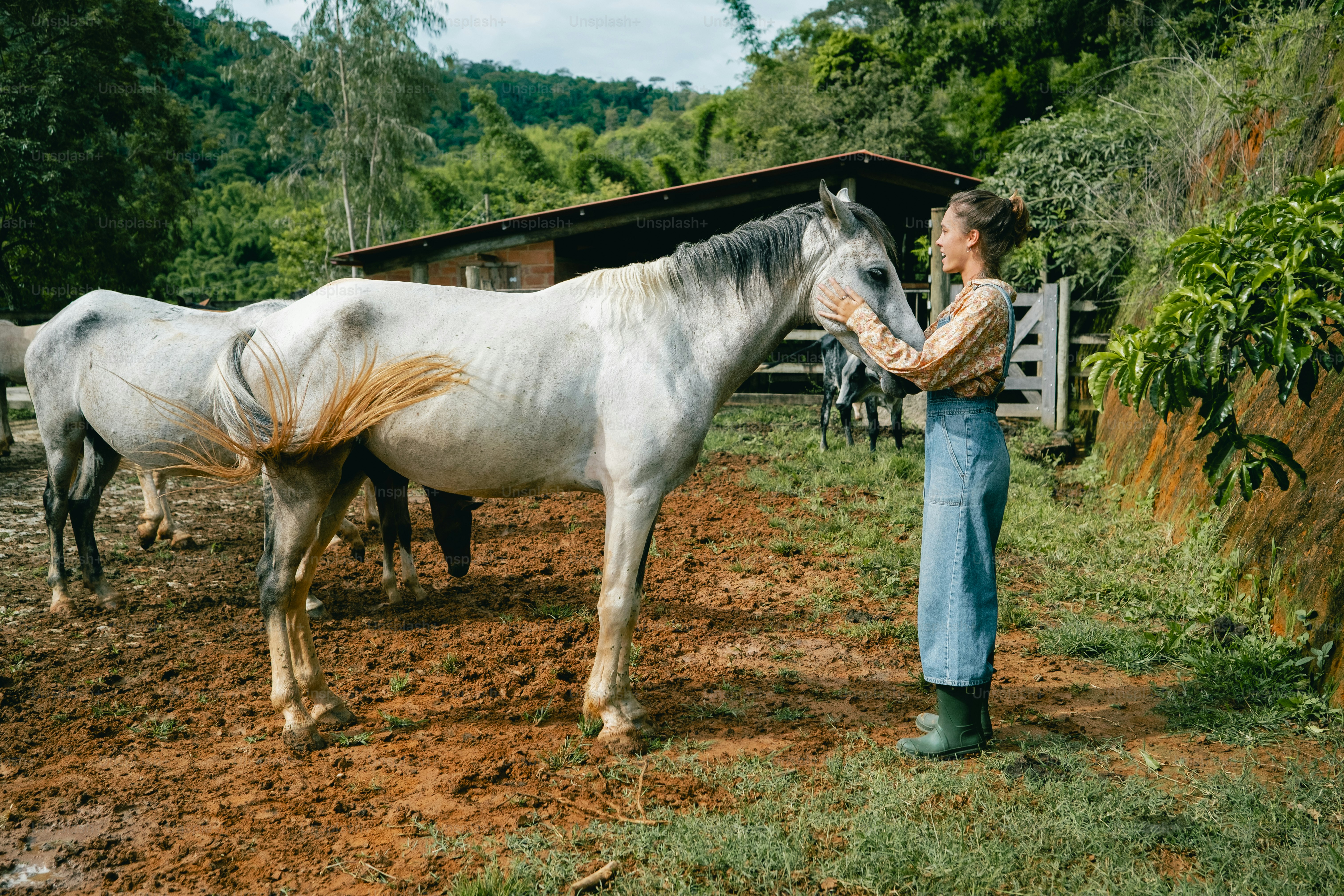 Una donna in piedi accanto a un cavallo bianco