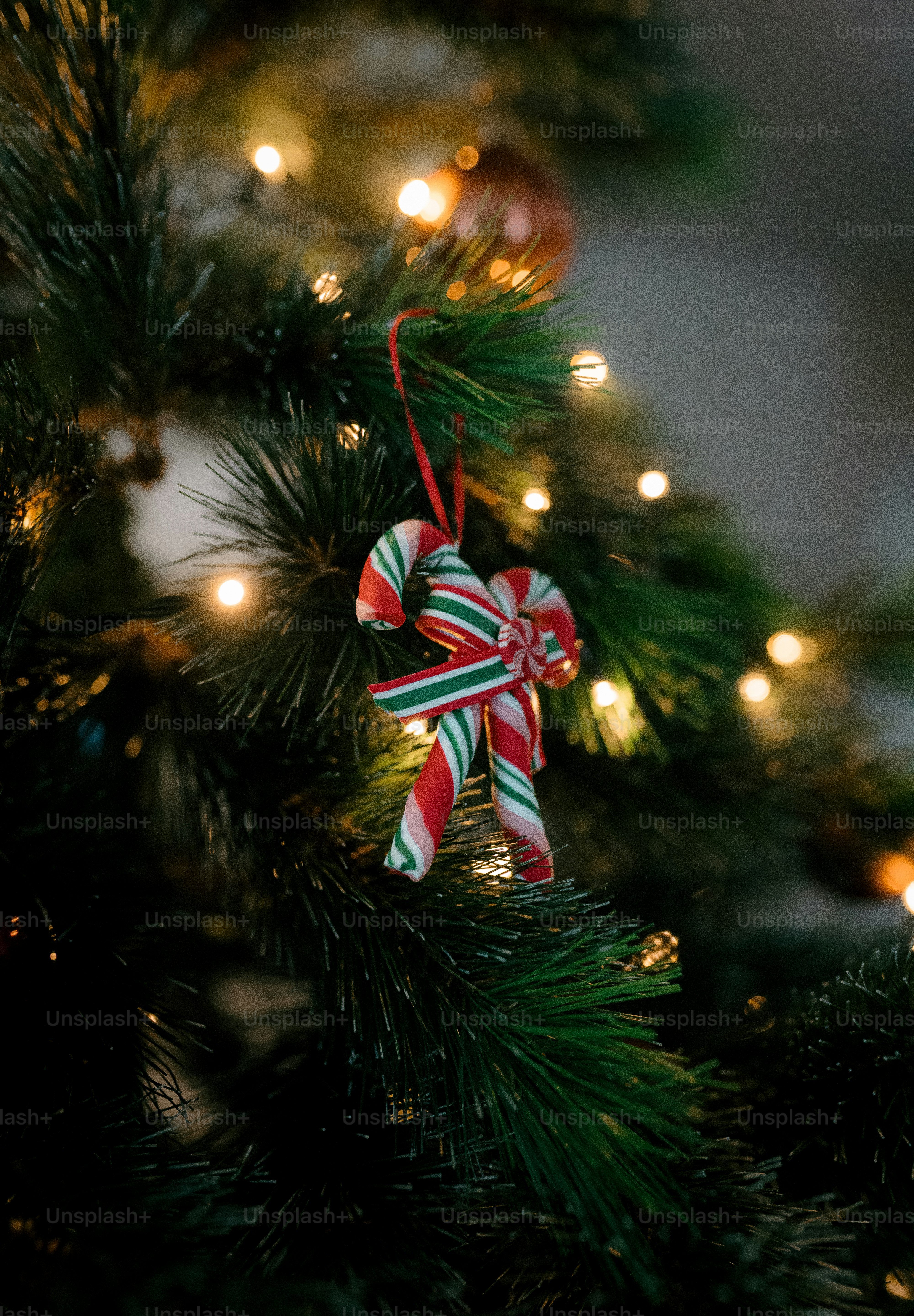 A christmas ornament hanging from a christmas tree photo – Christmas ...