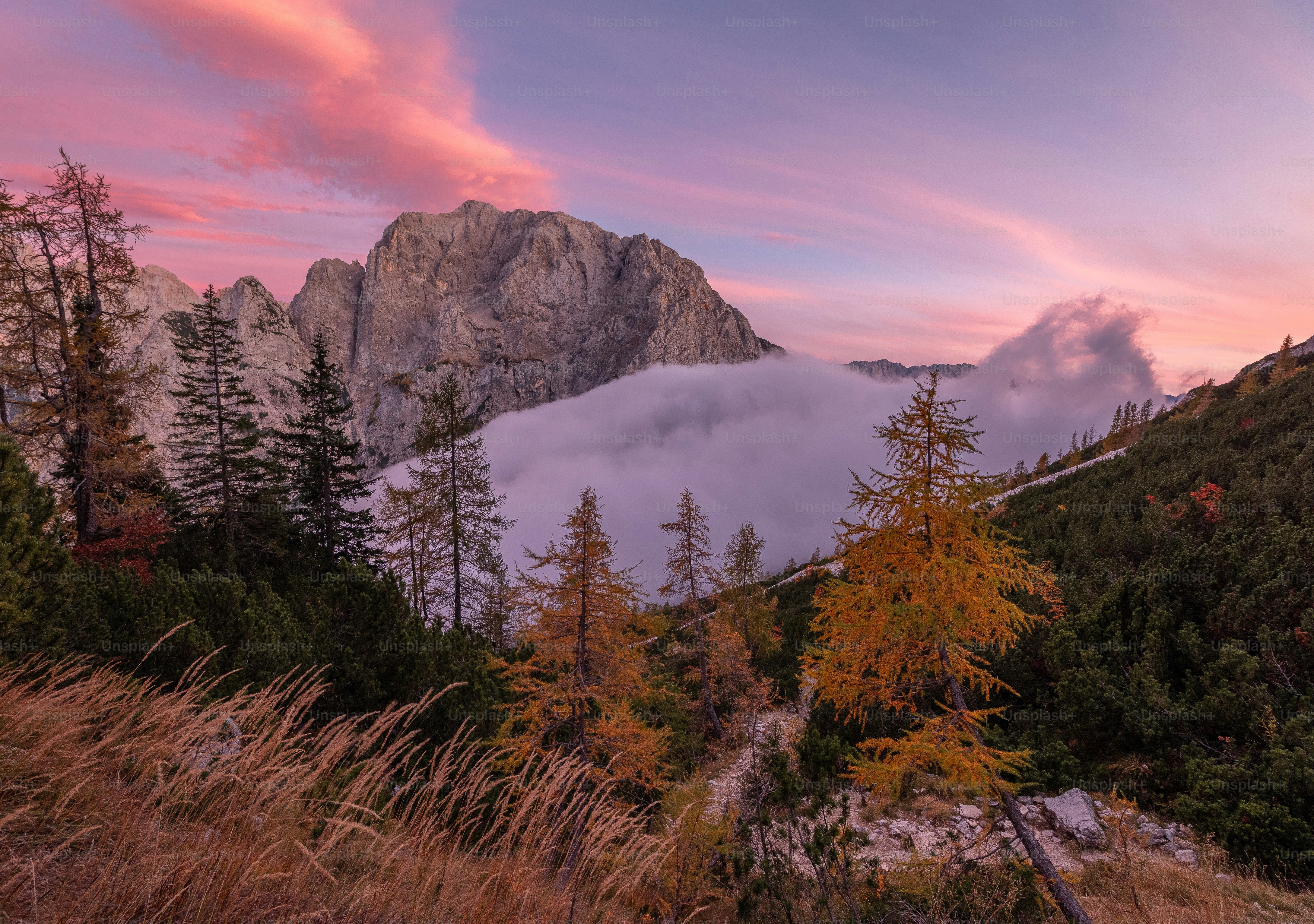 A view of a mountain with clouds and trees in the foreground