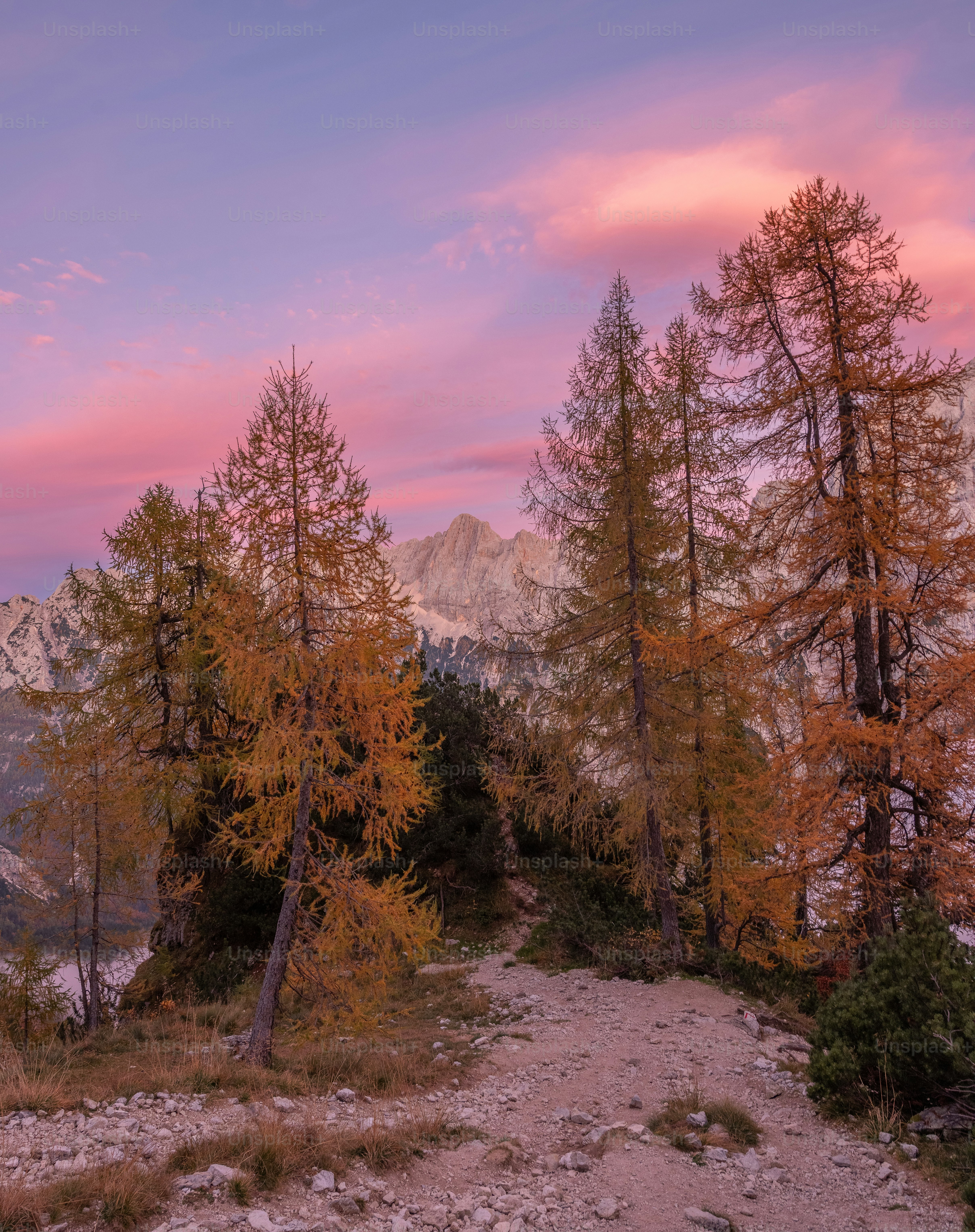 A view of a mountain range with trees in the foreground