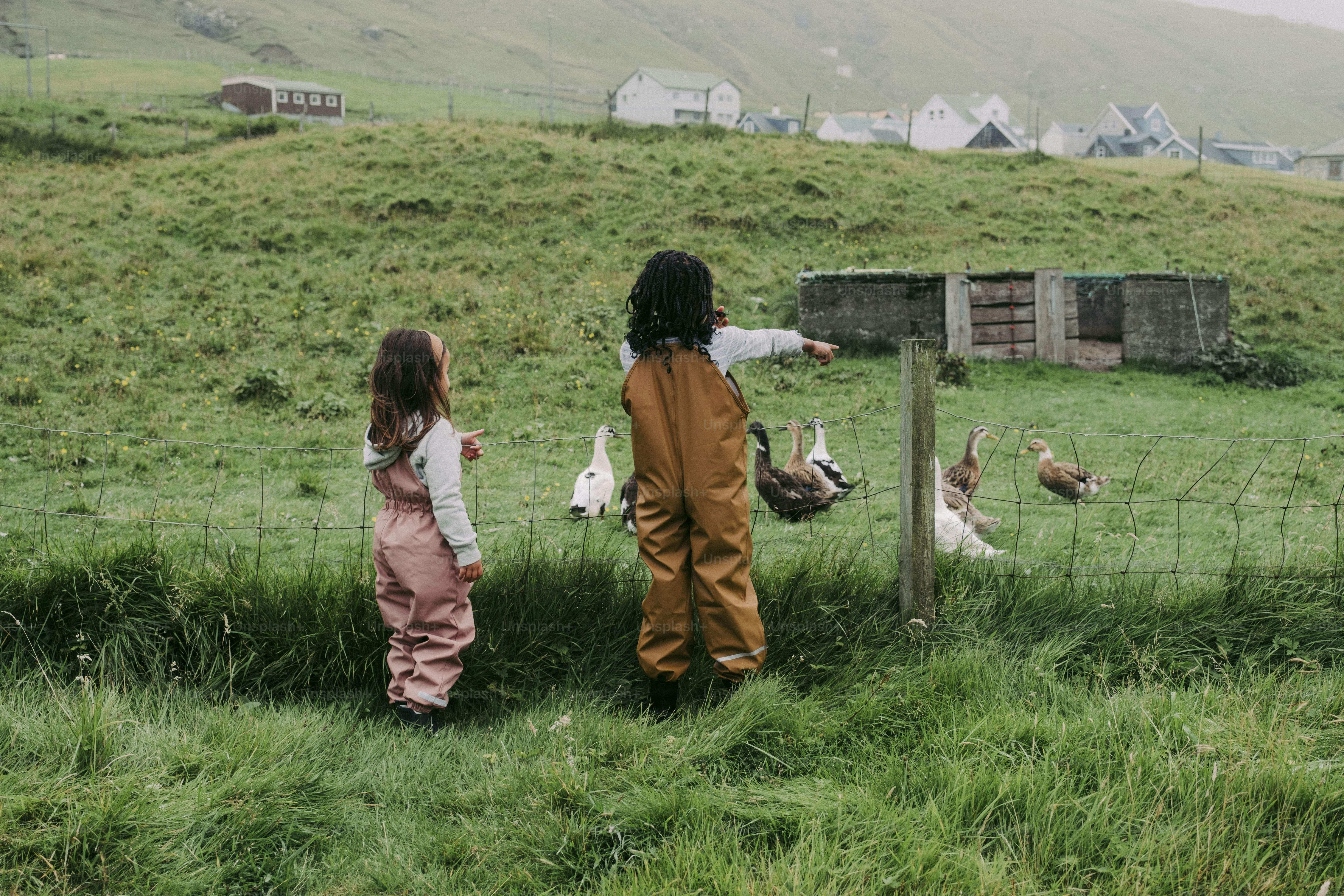 A couple of kids that are standing in the grass